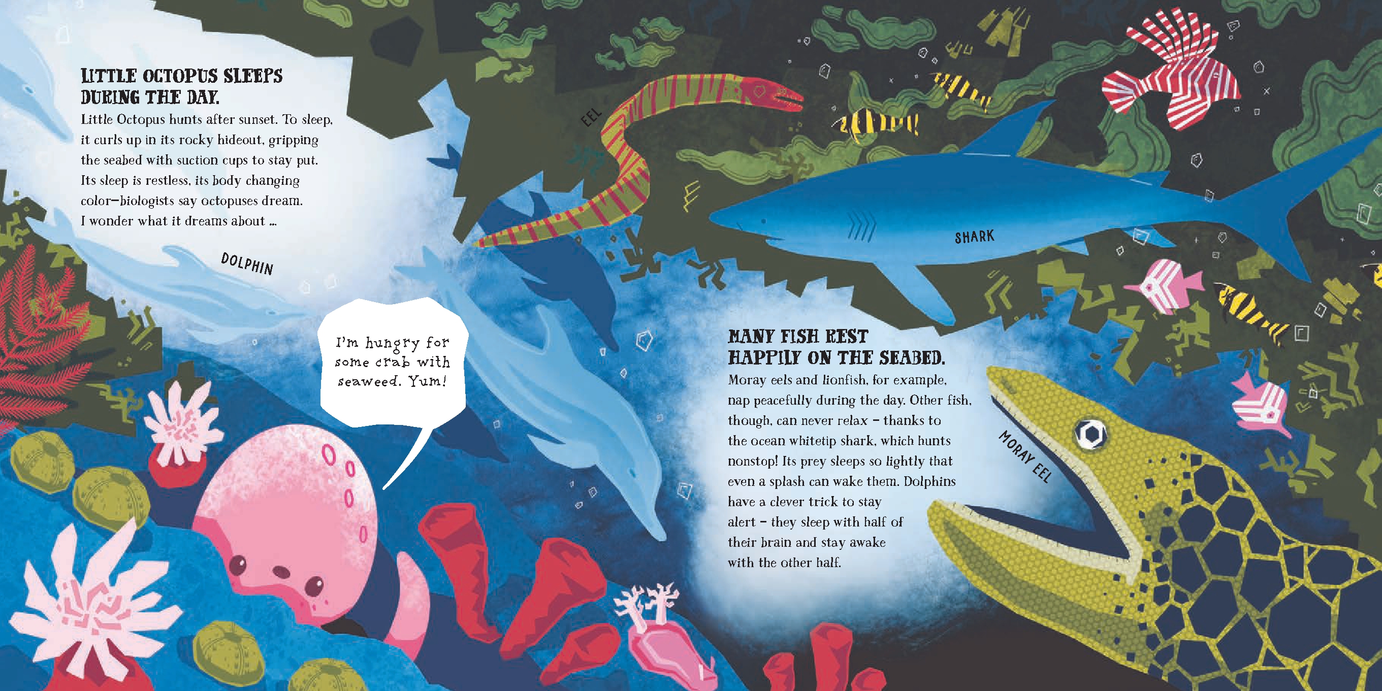 Little Octopus and the Vast Ocean