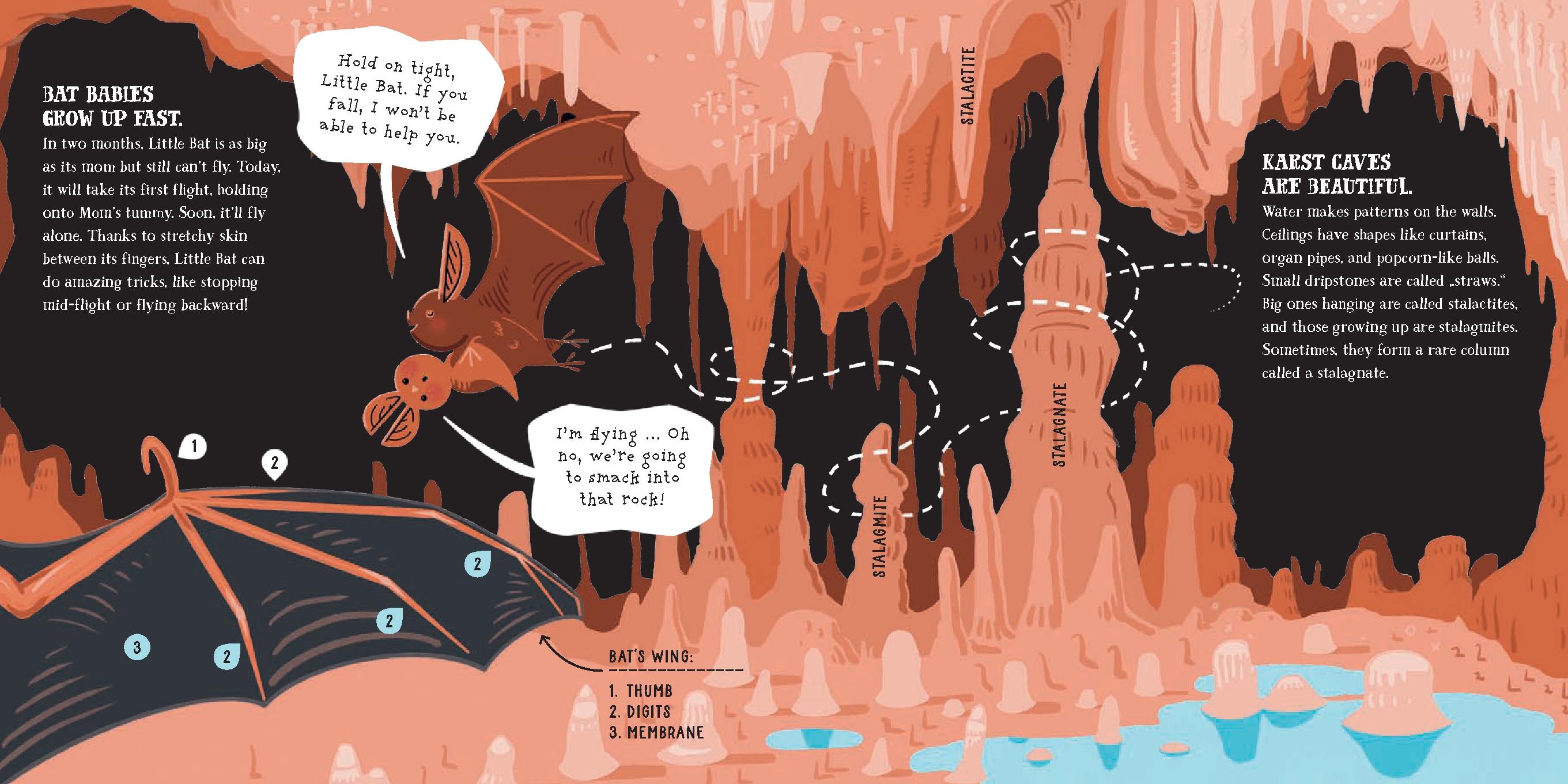 Little Bat and the Fabulous Cave