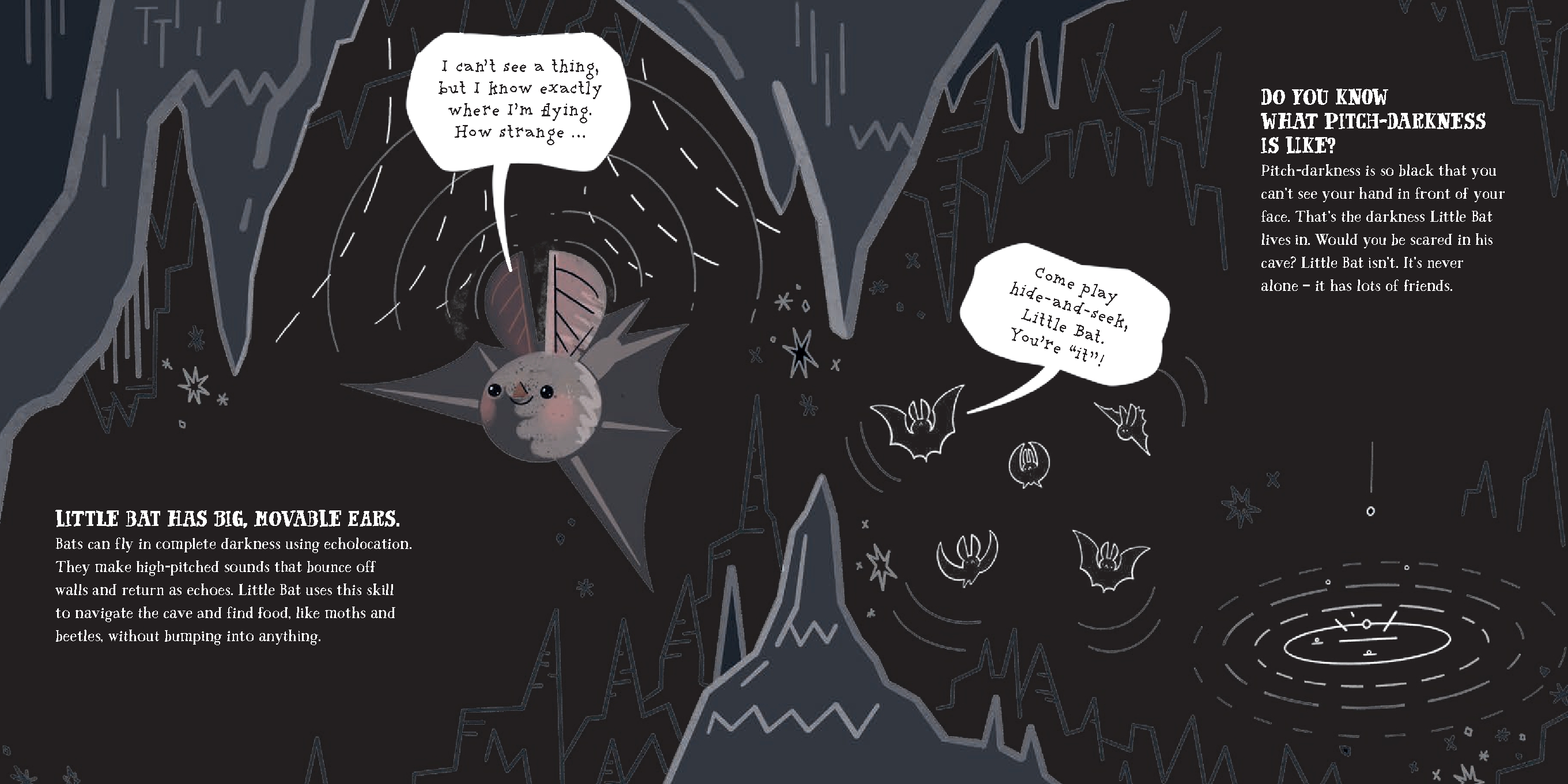 Little Bat and the Fabulous Cave