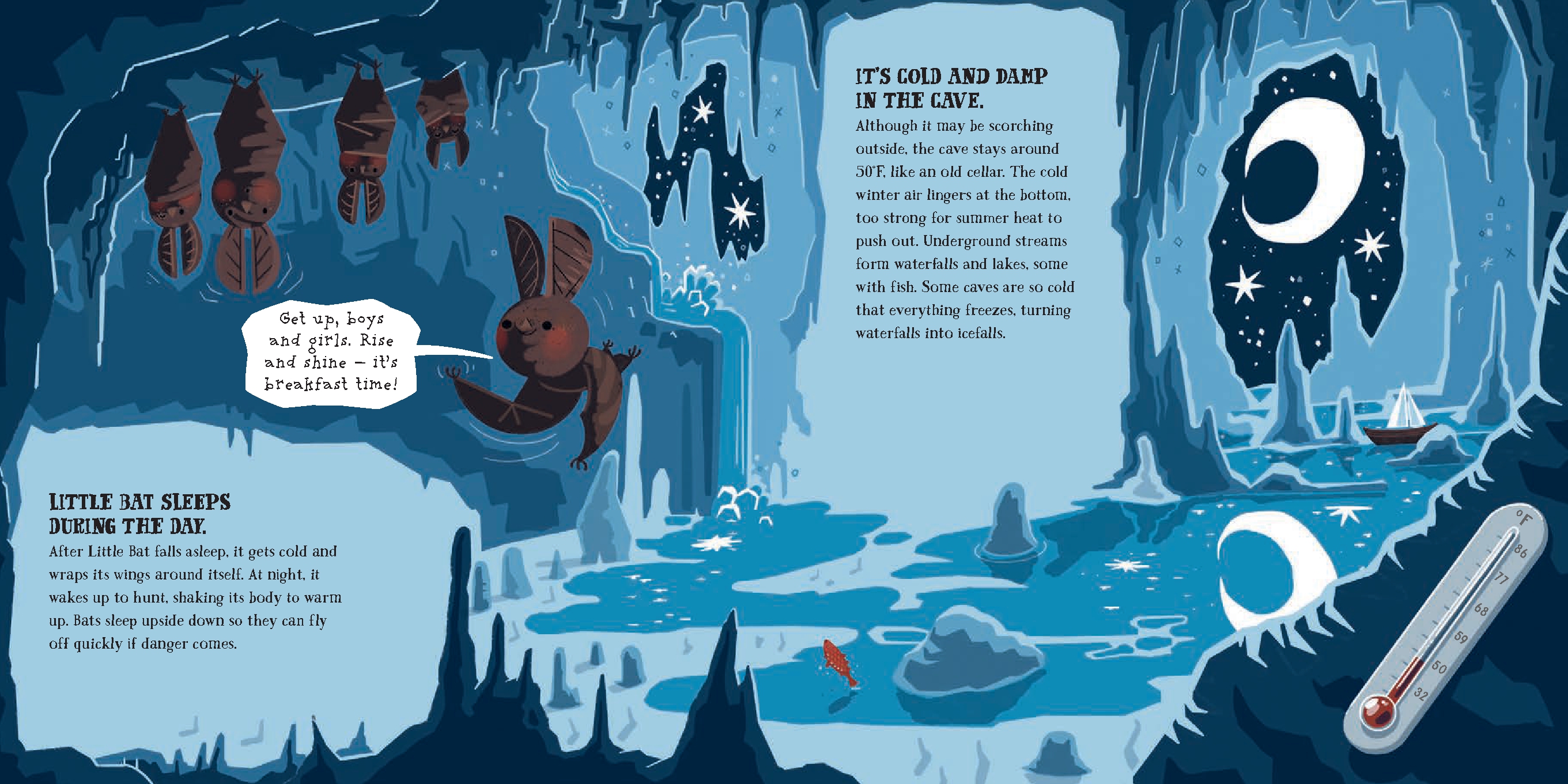 Little Bat and the Fabulous Cave