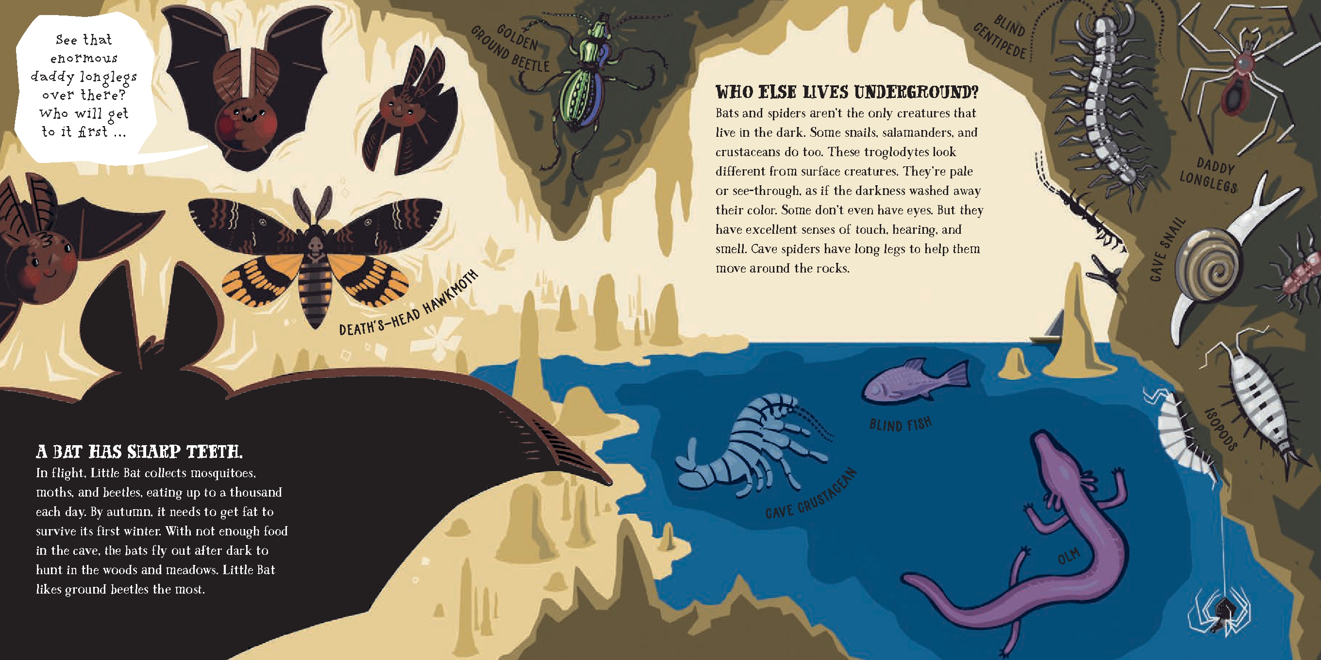 Little Bat and the Fabulous Cave