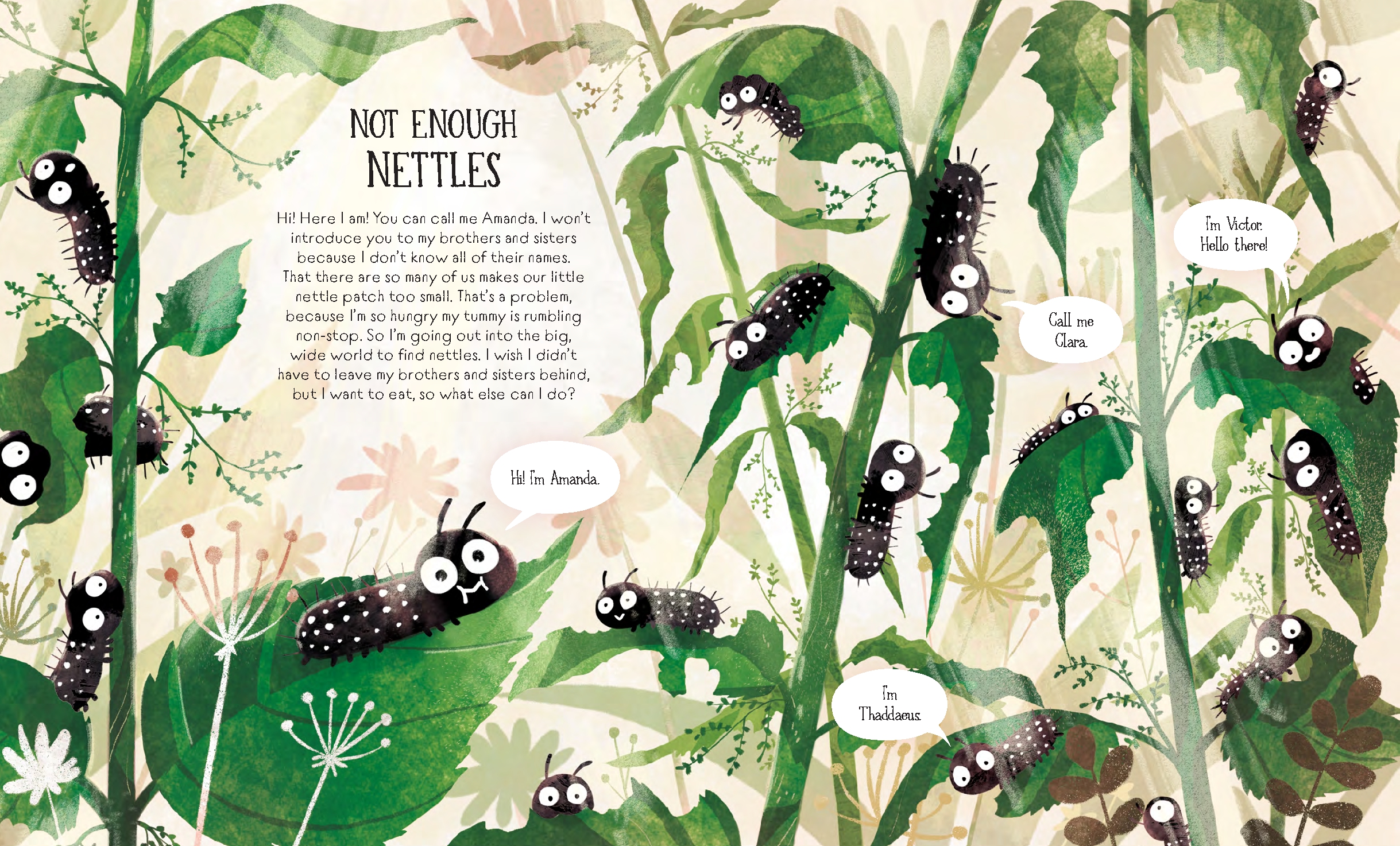 The Life of a Butterfly