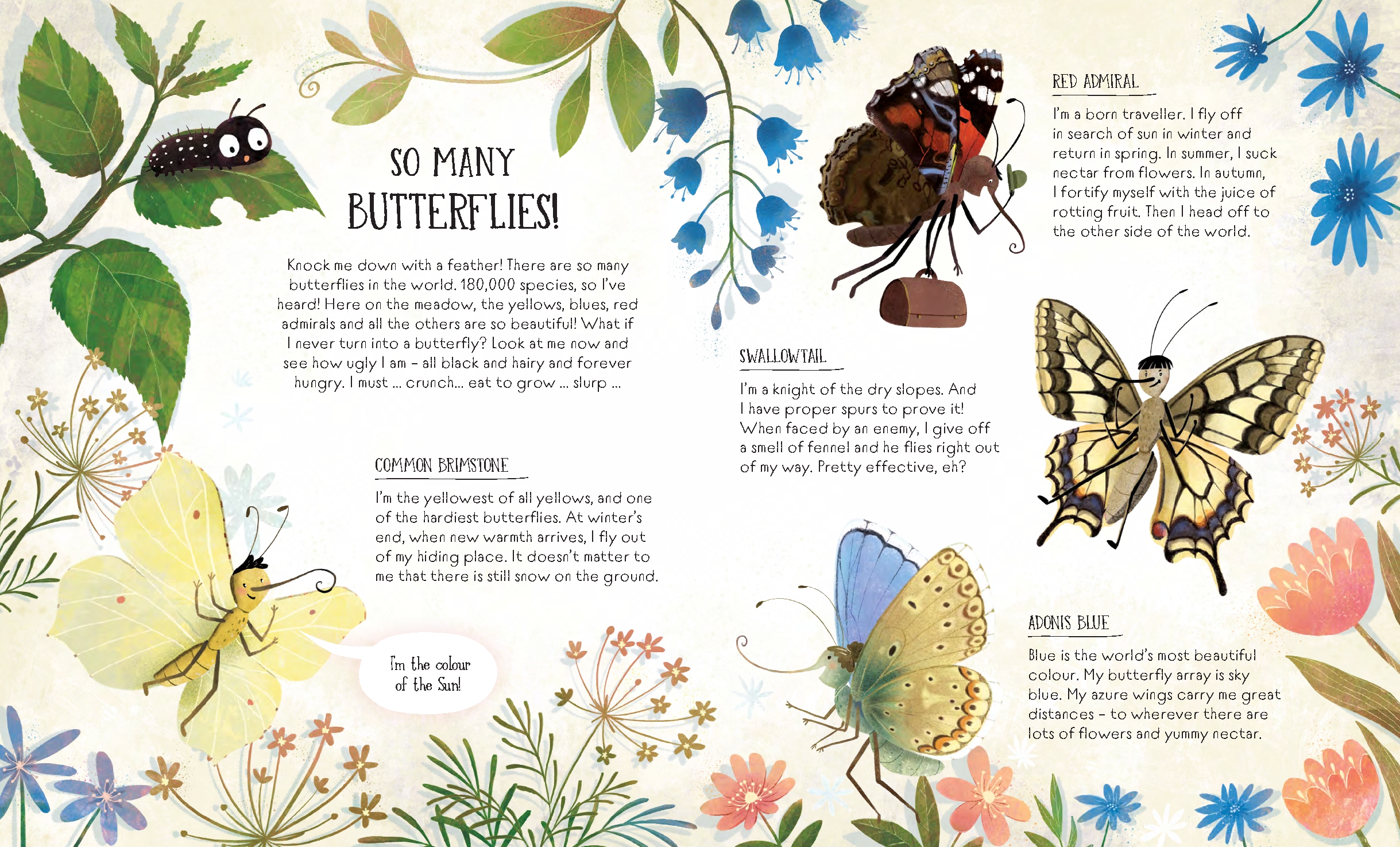 The Life of a Butterfly