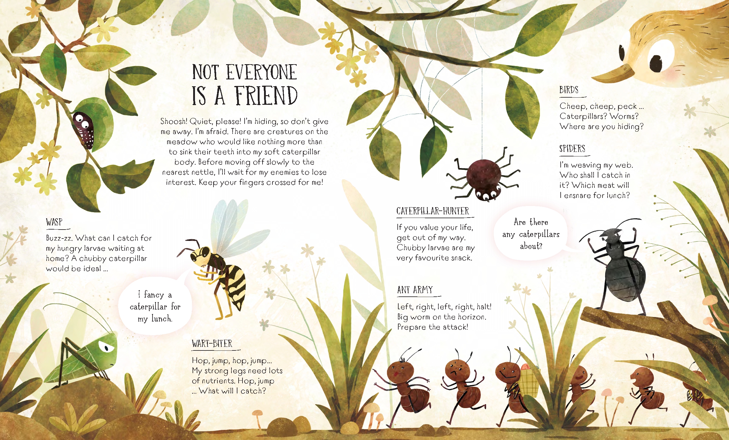 The Life of a Butterfly