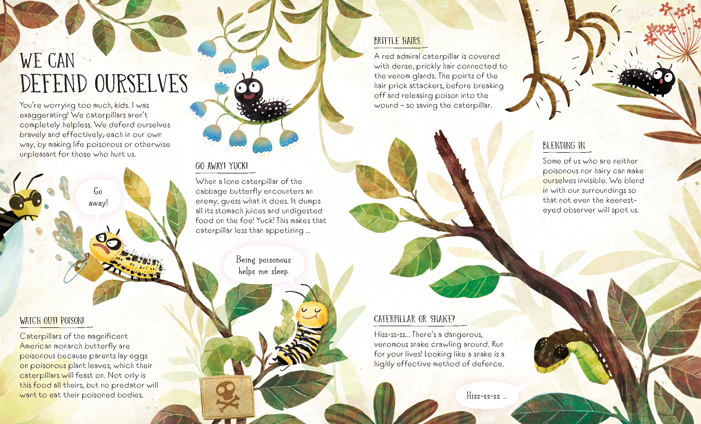 The Life of a Butterfly