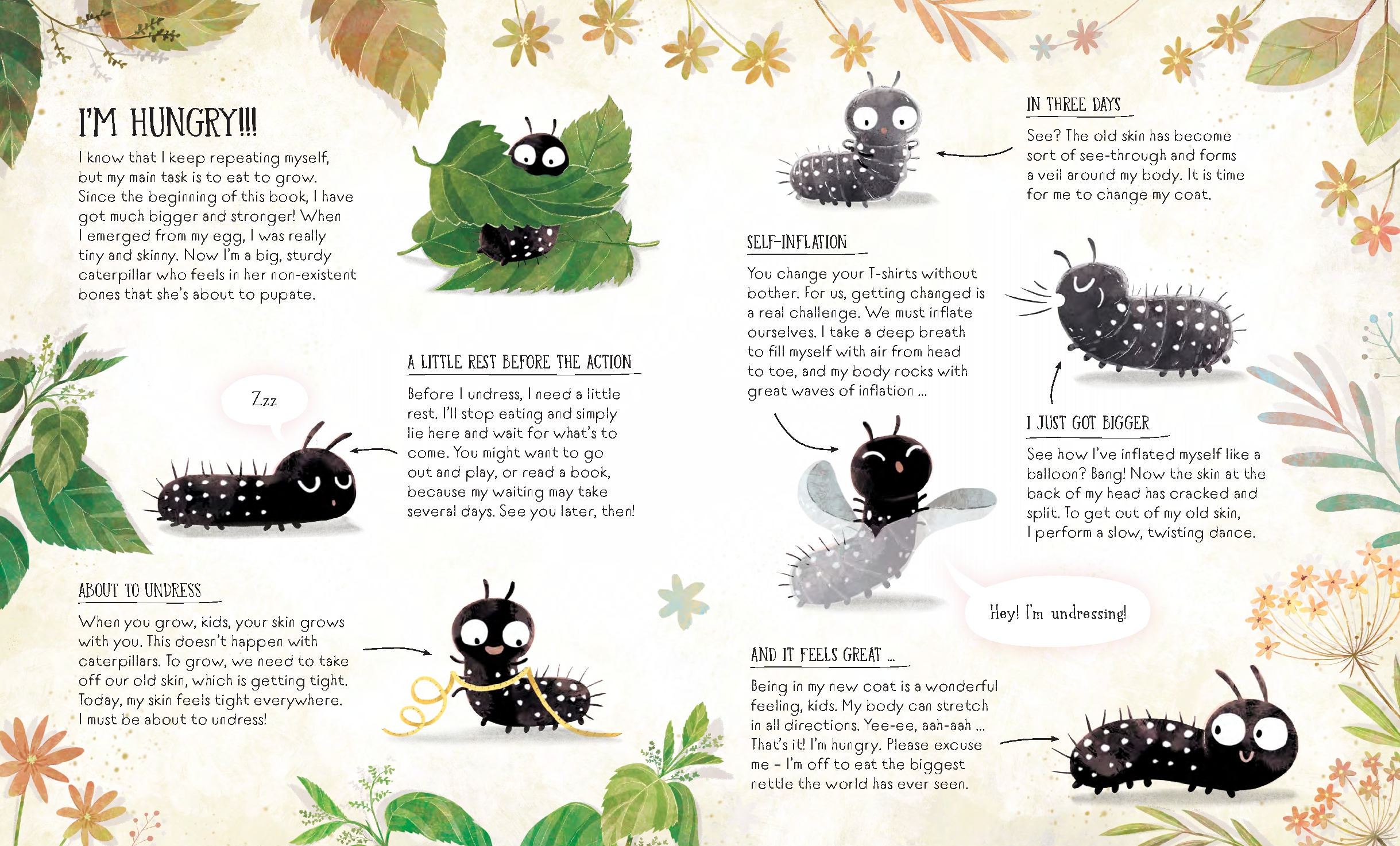 The Life of a Butterfly