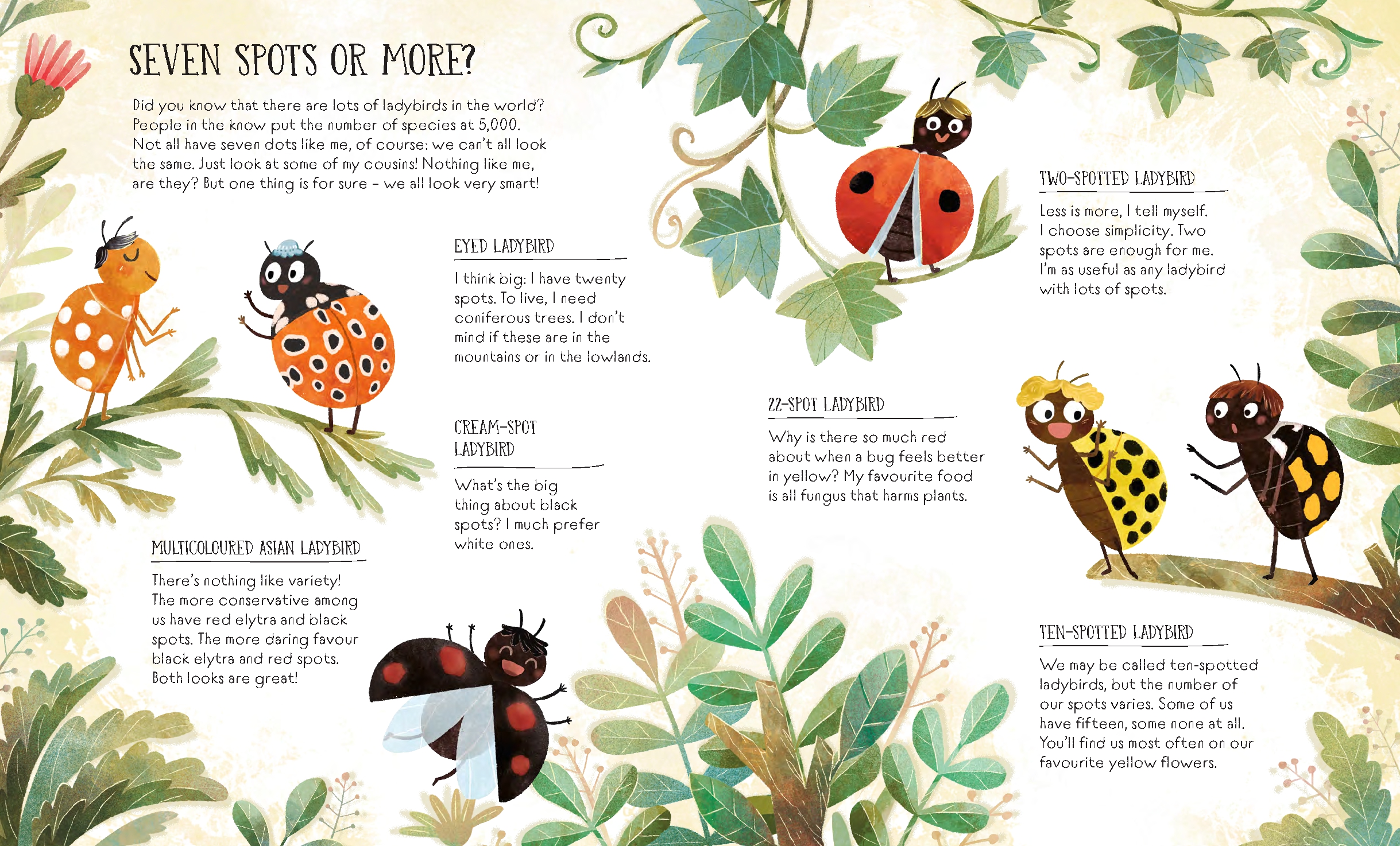 The Life of a Ladybug