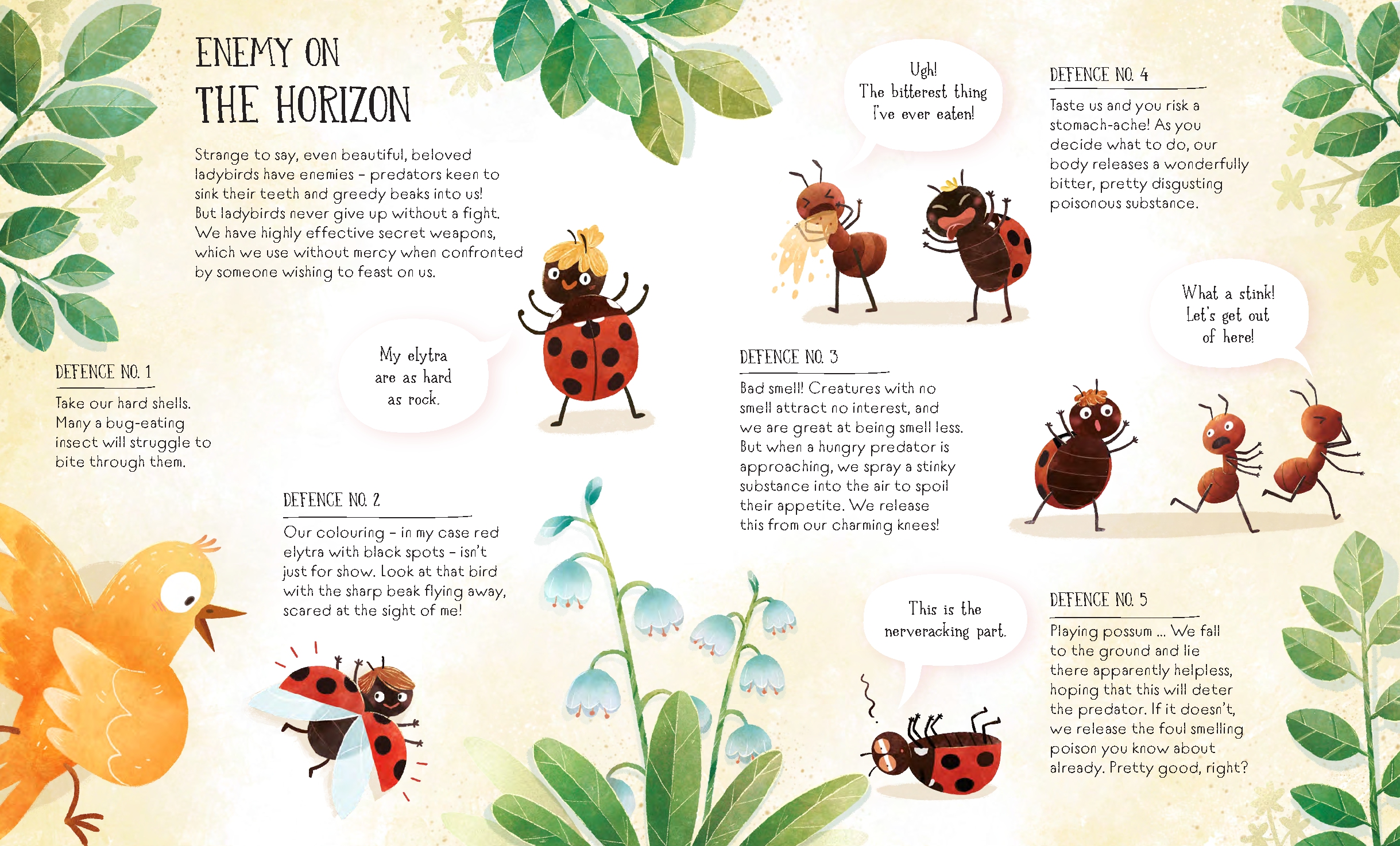 The Life of a Ladybug