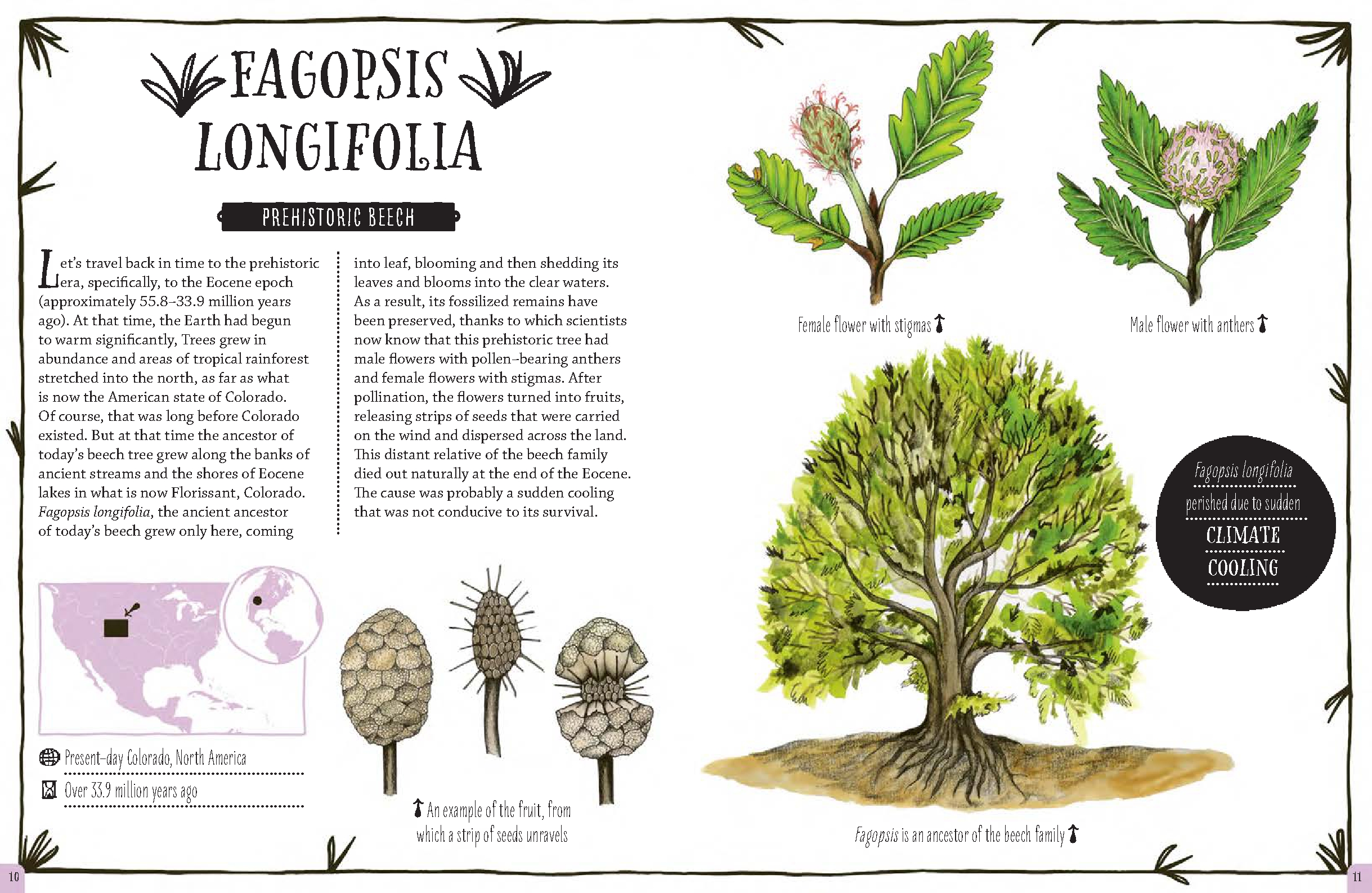 The Book of Disappearing Plants