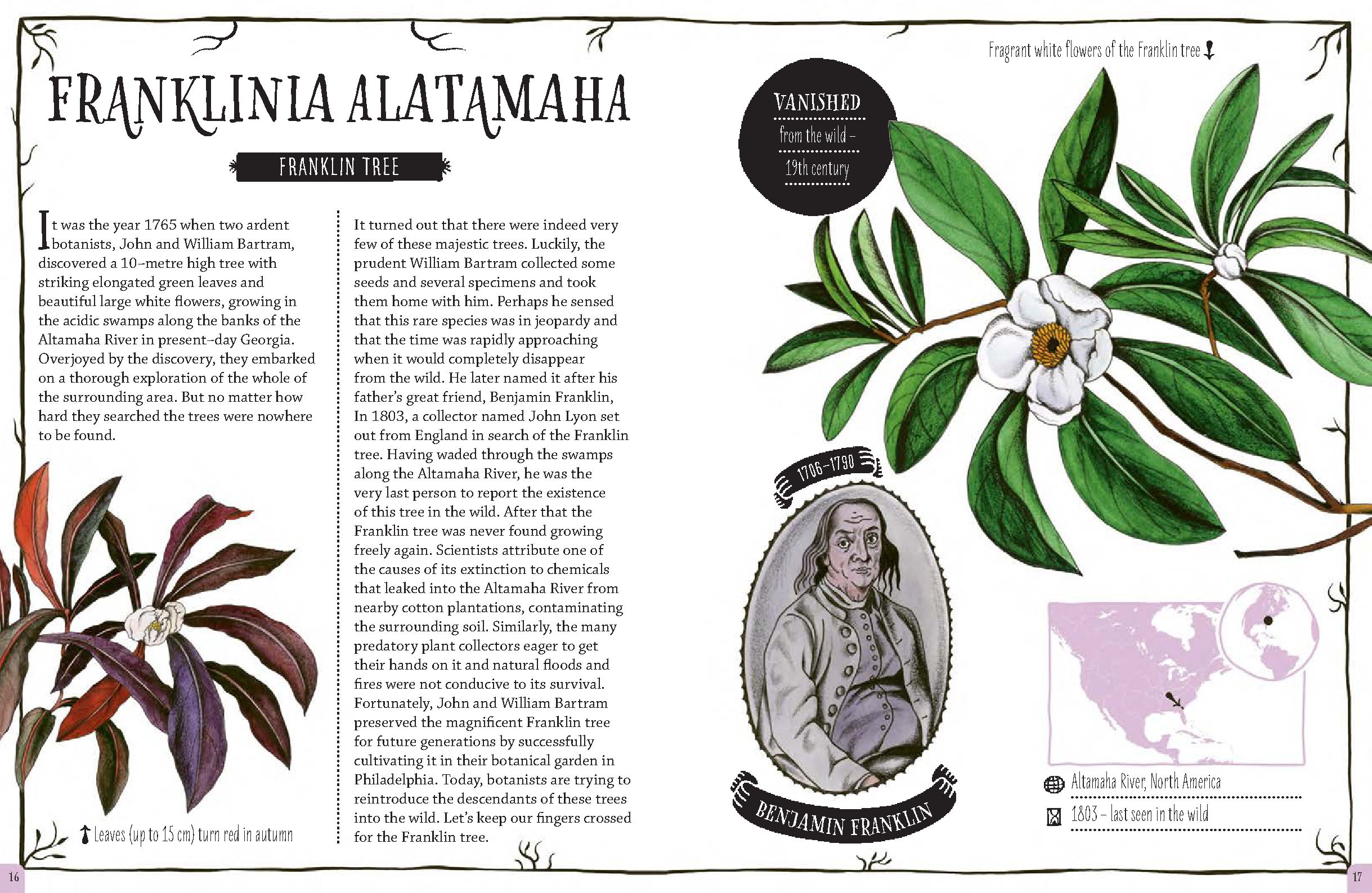 The Book of Disappearing Plants