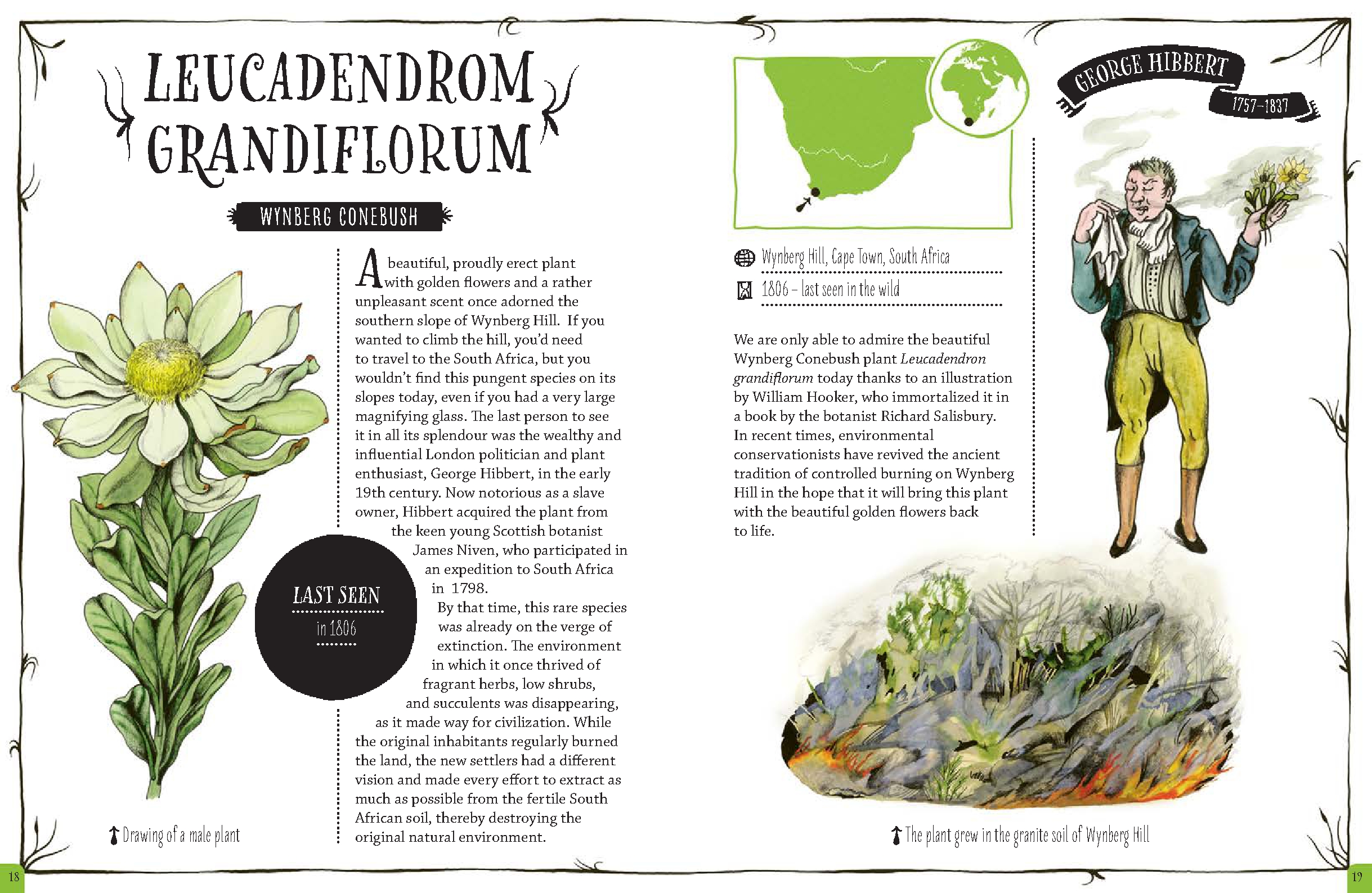 The Book of Disappearing Plants