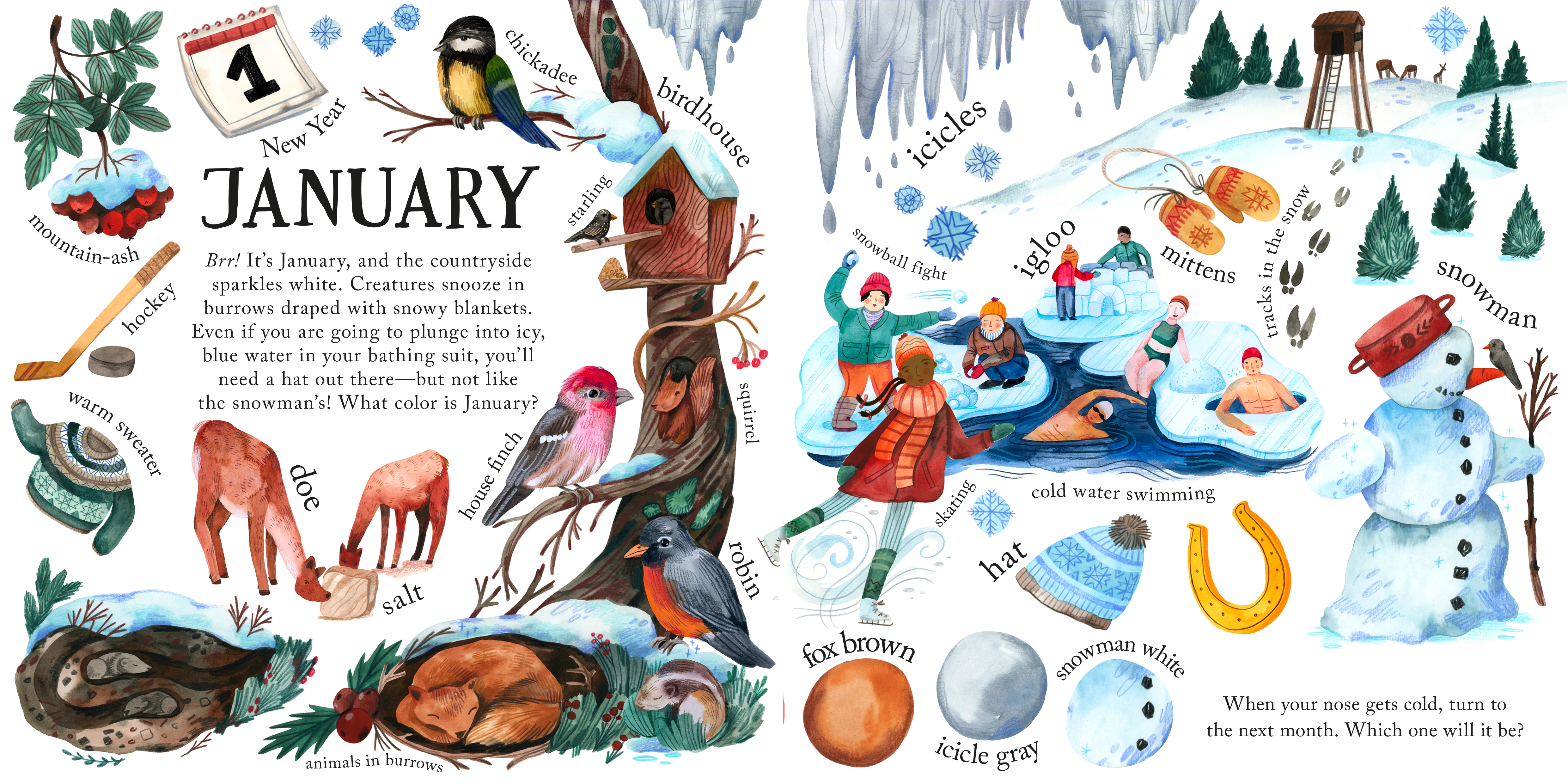 What Color Is Your Favorite Month?