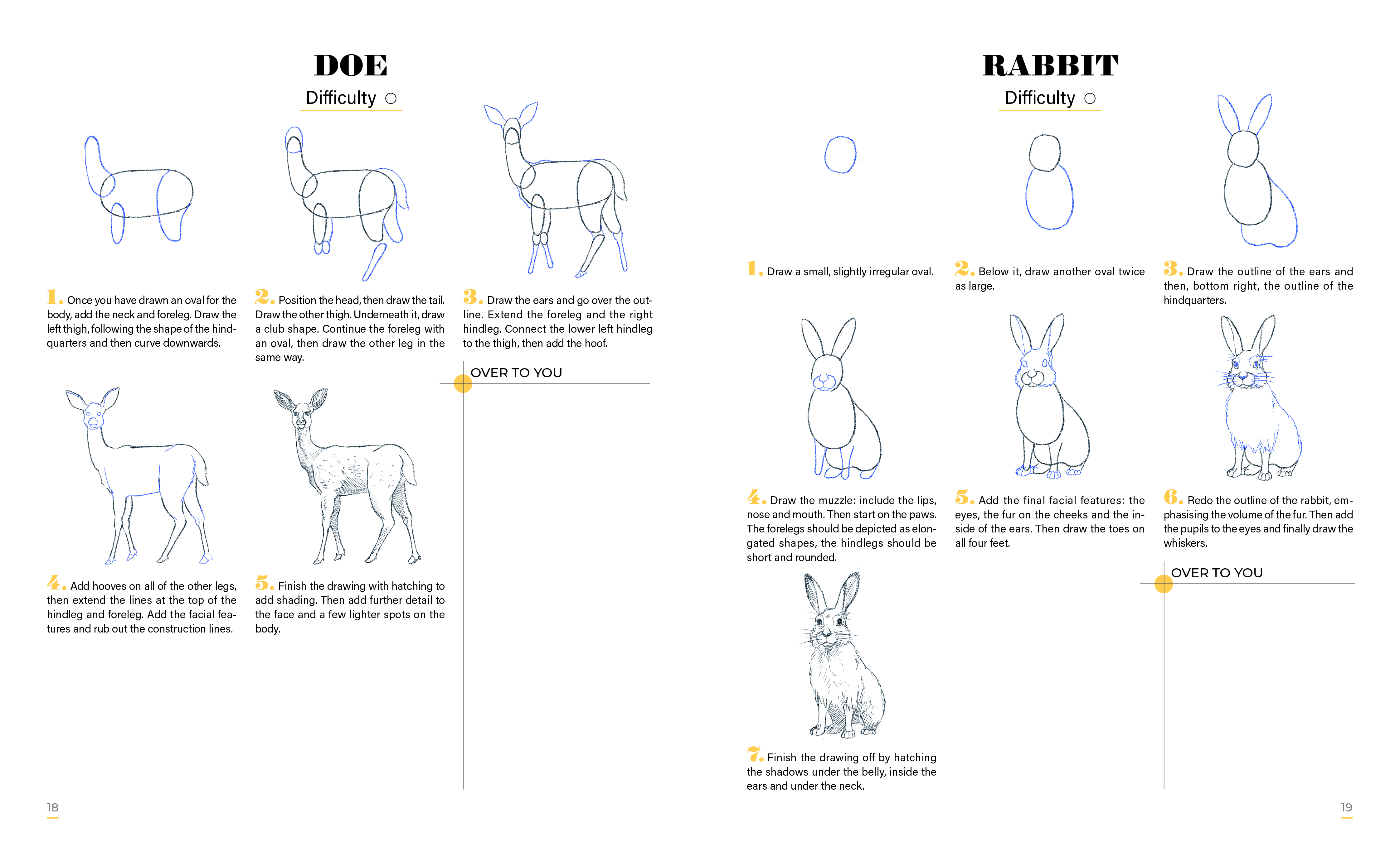 Learn to Draw Animals with 50 Models