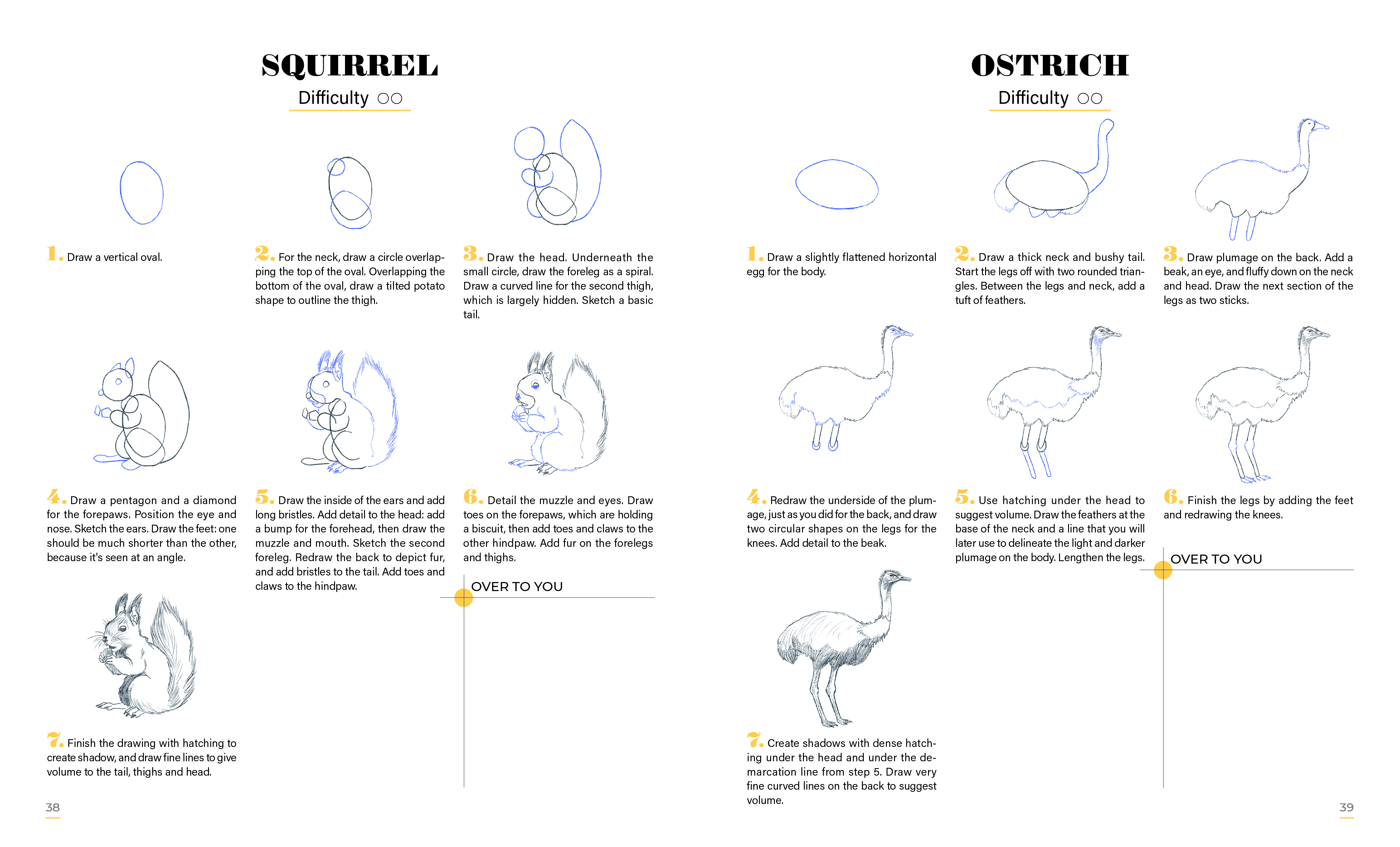 Learn to Draw Animals with 50 Models