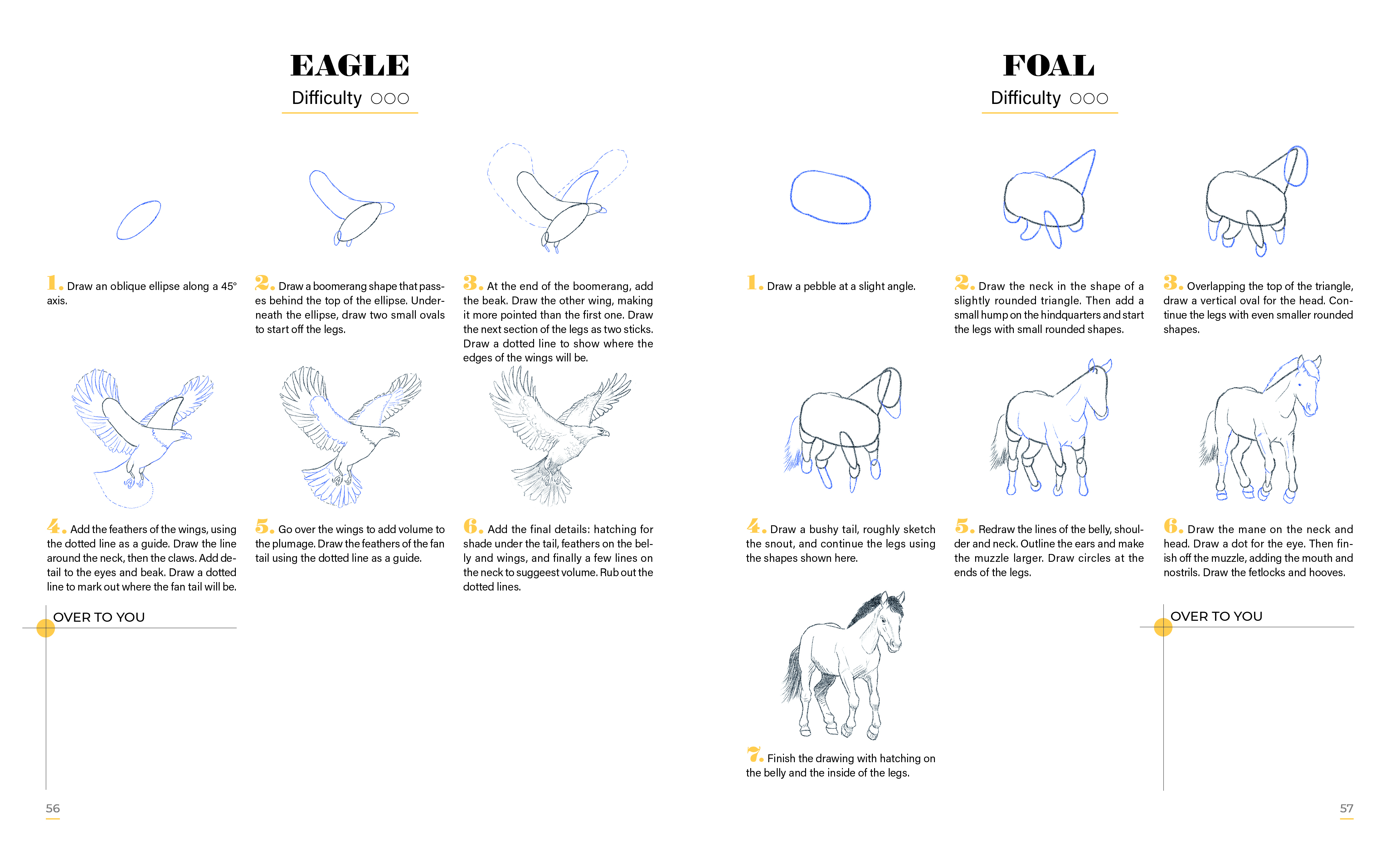 Learn to Draw Animals with 50 Models