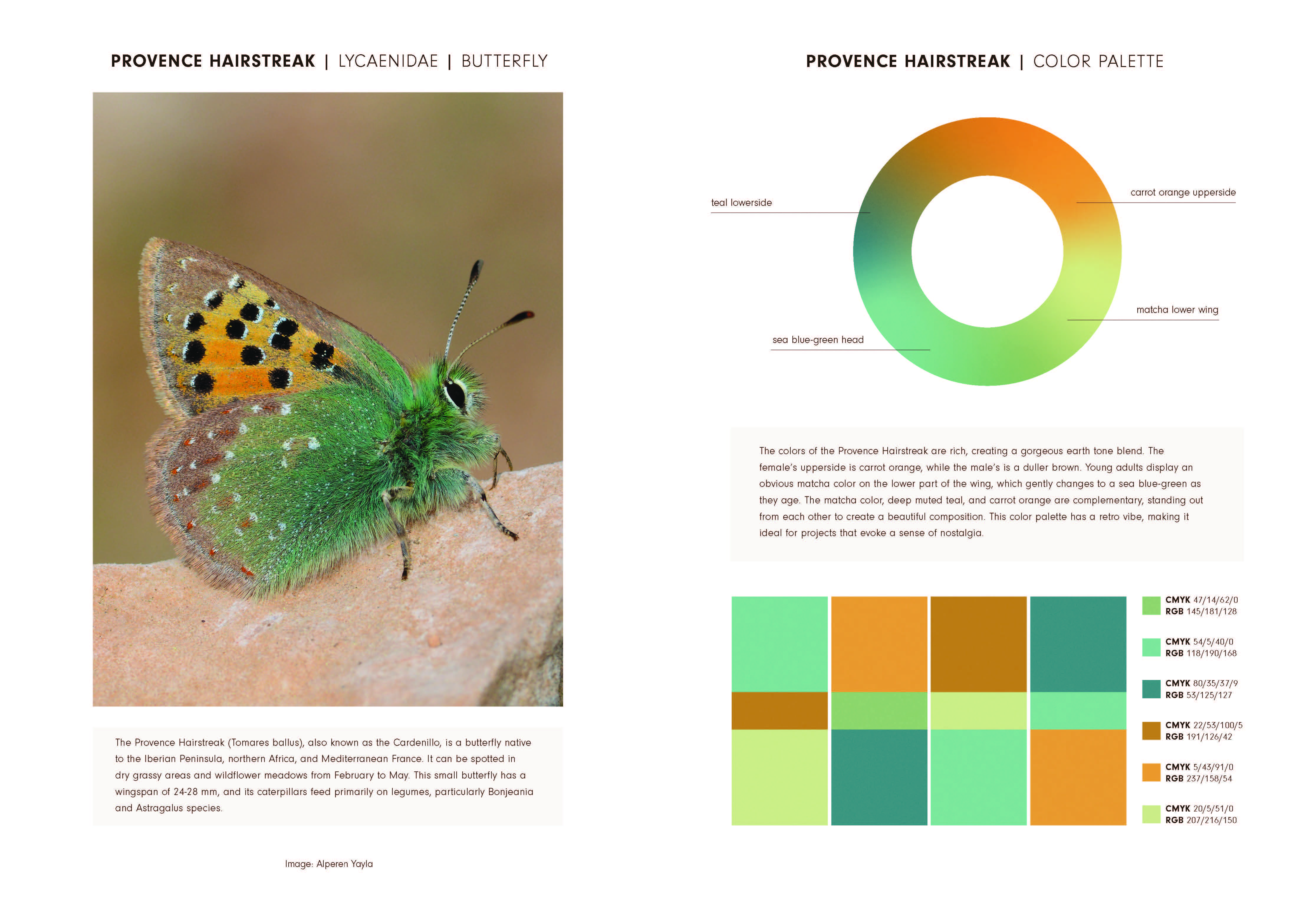 Nature's Living Colour Palettes
