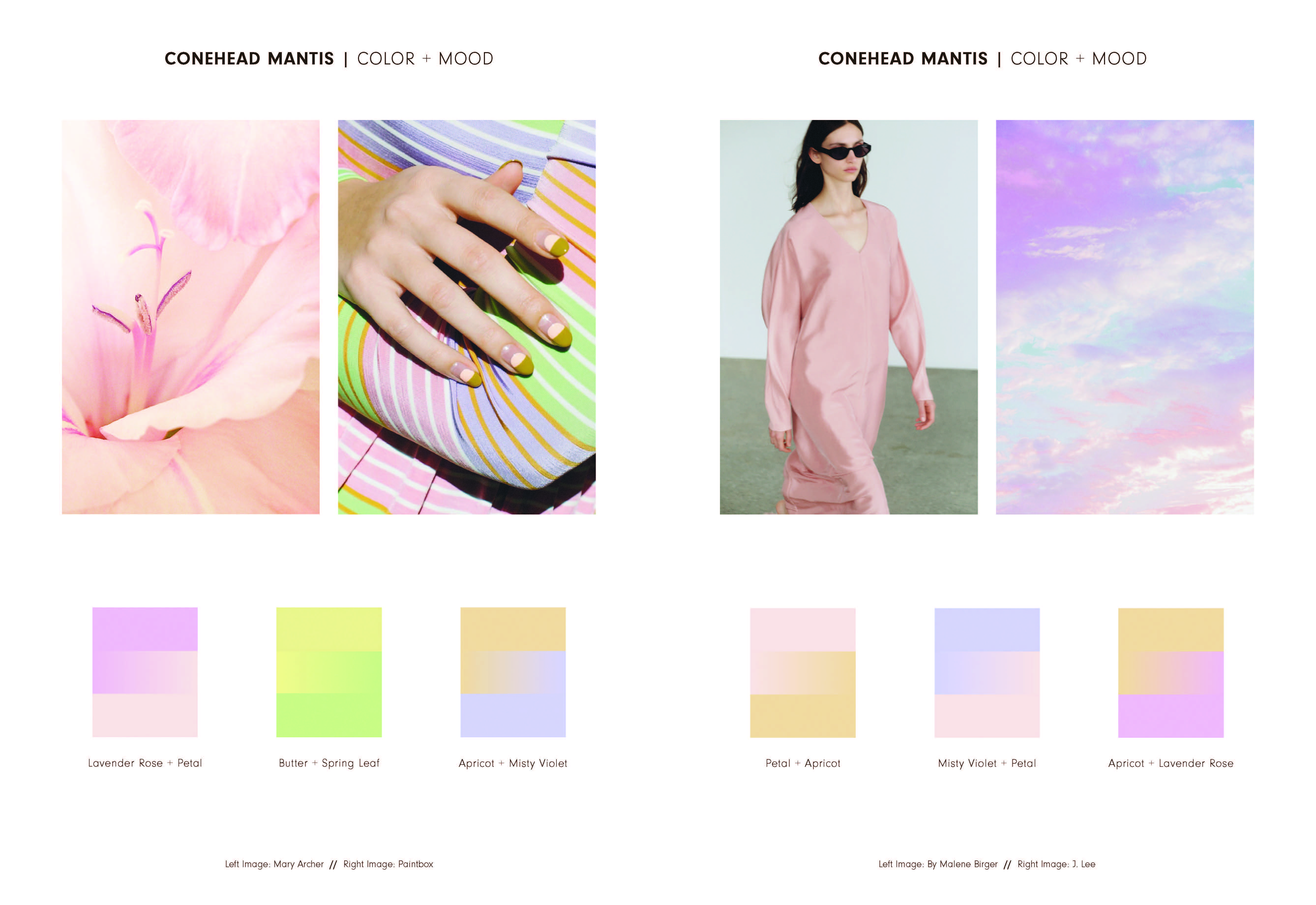 Nature's Living Colour Palettes