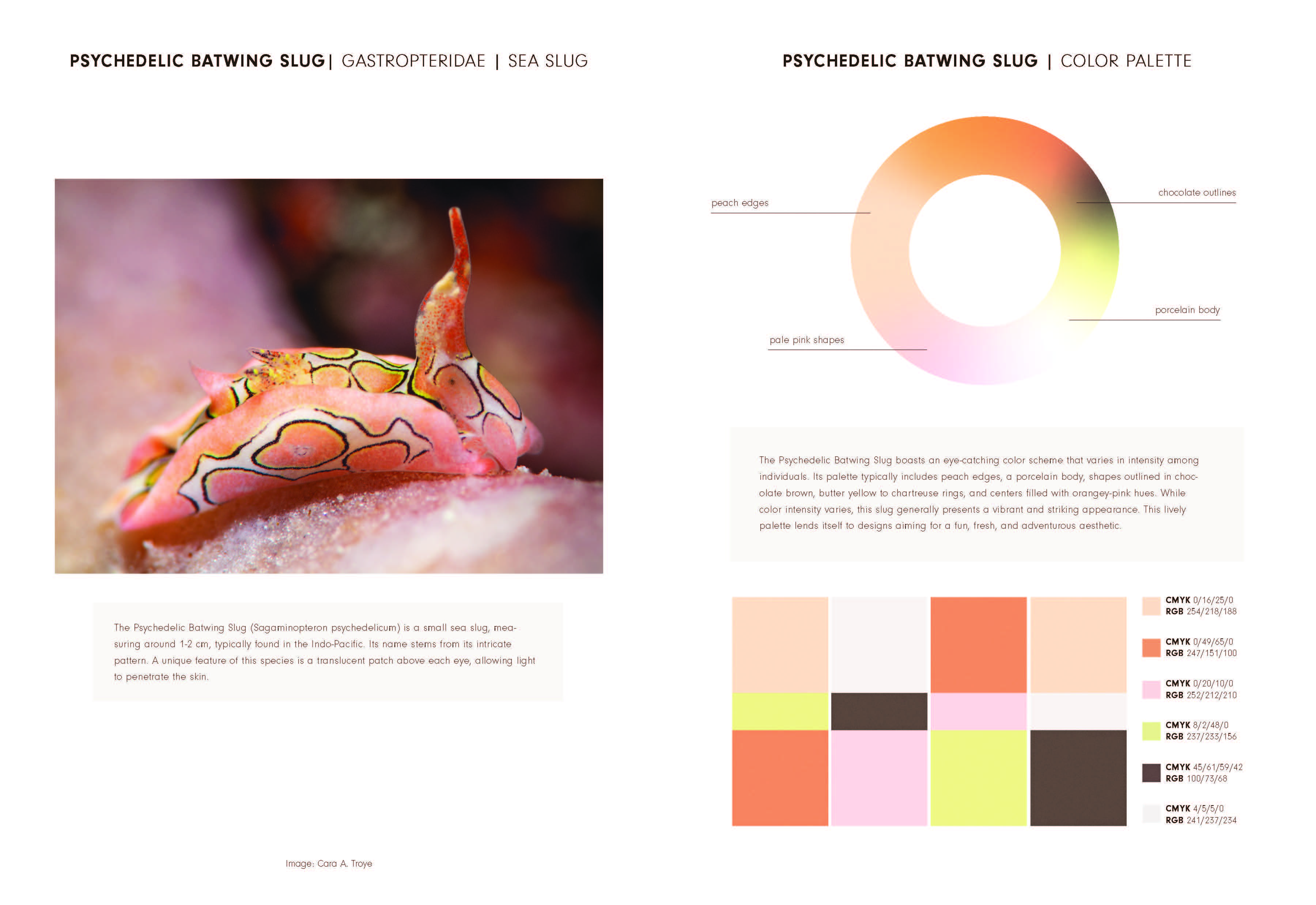 Nature's Living Colour Palettes