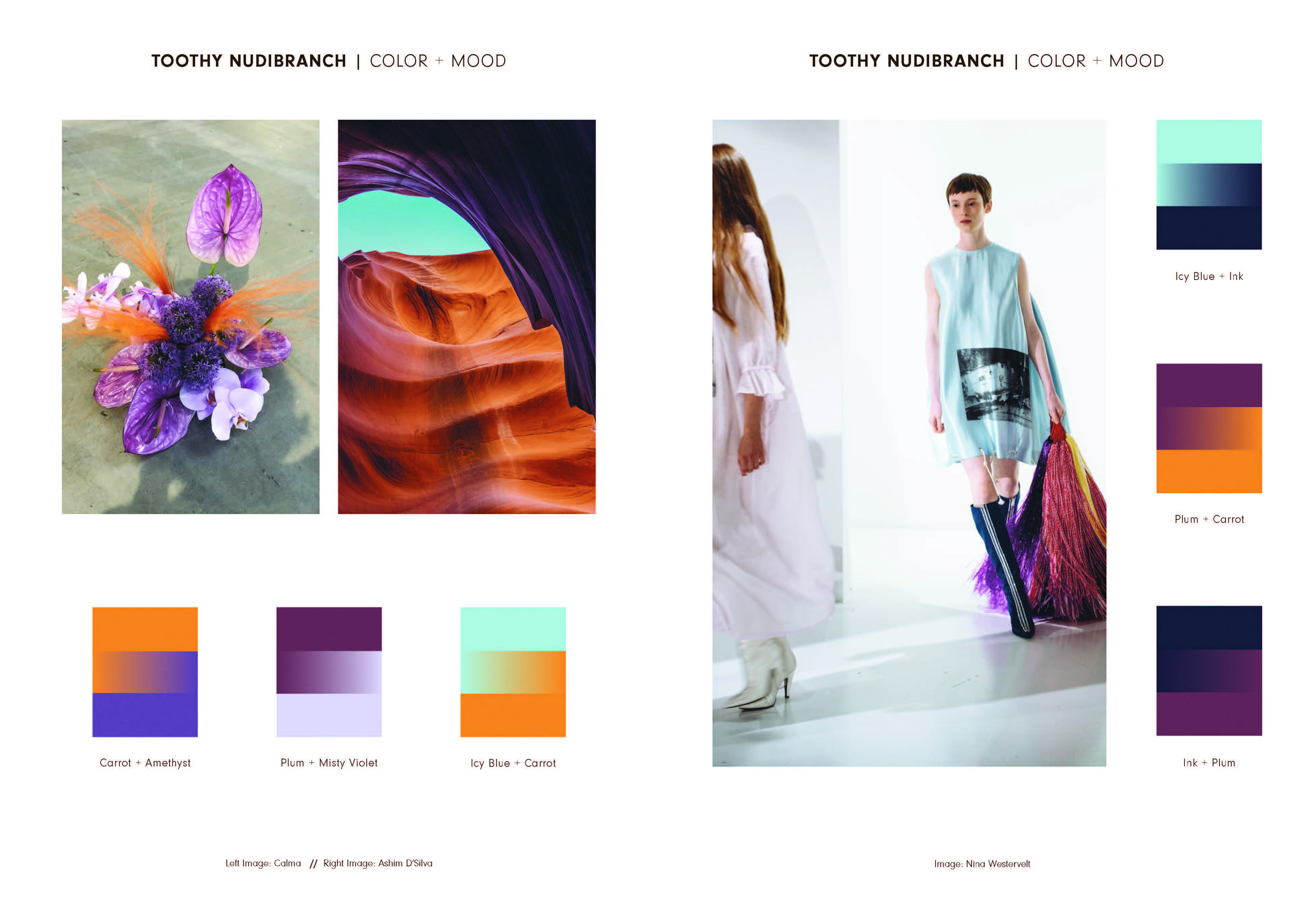 Nature's Living Colour Palettes
