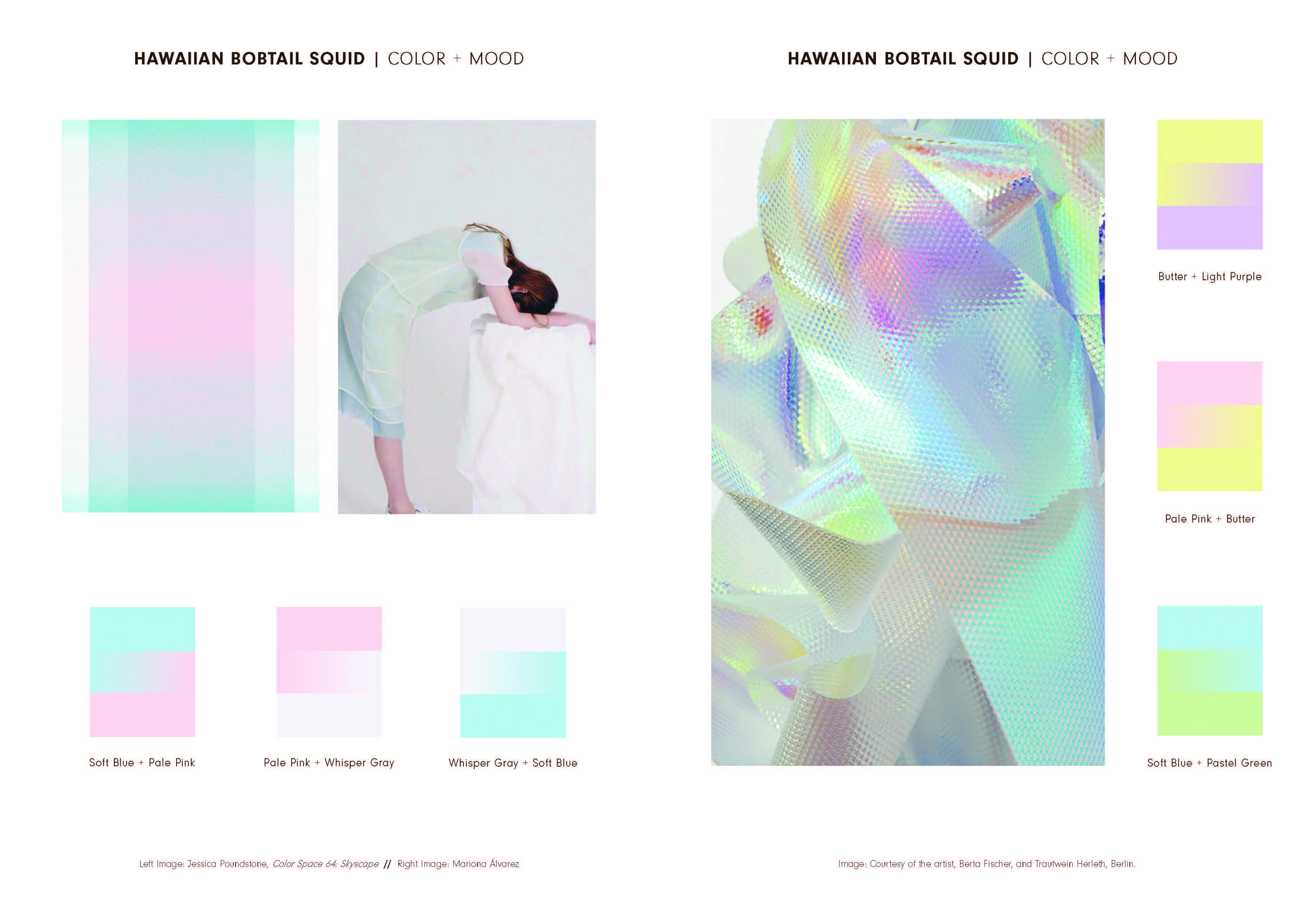 Nature's Living Colour Palettes