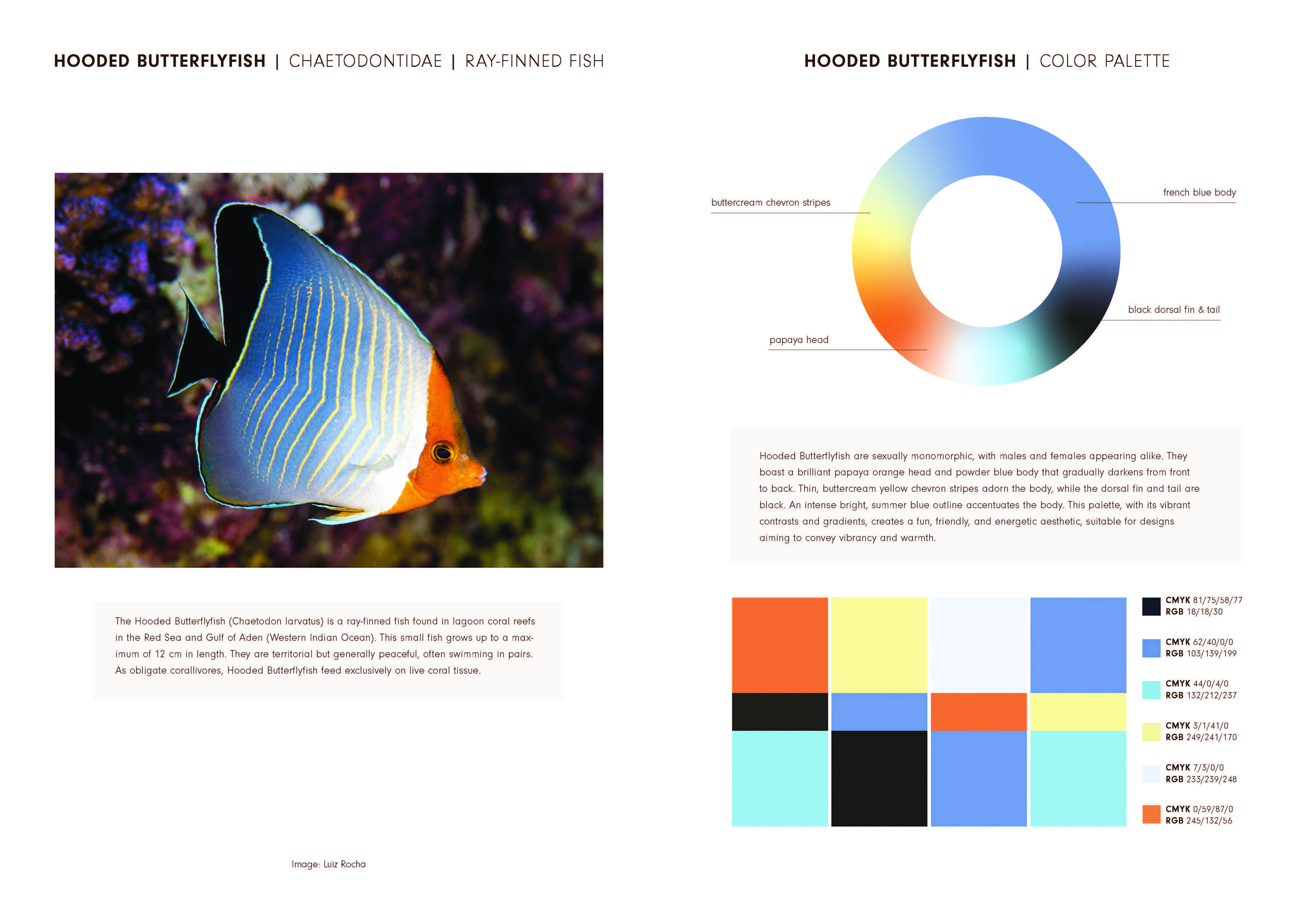 Nature's Living Colour Palettes