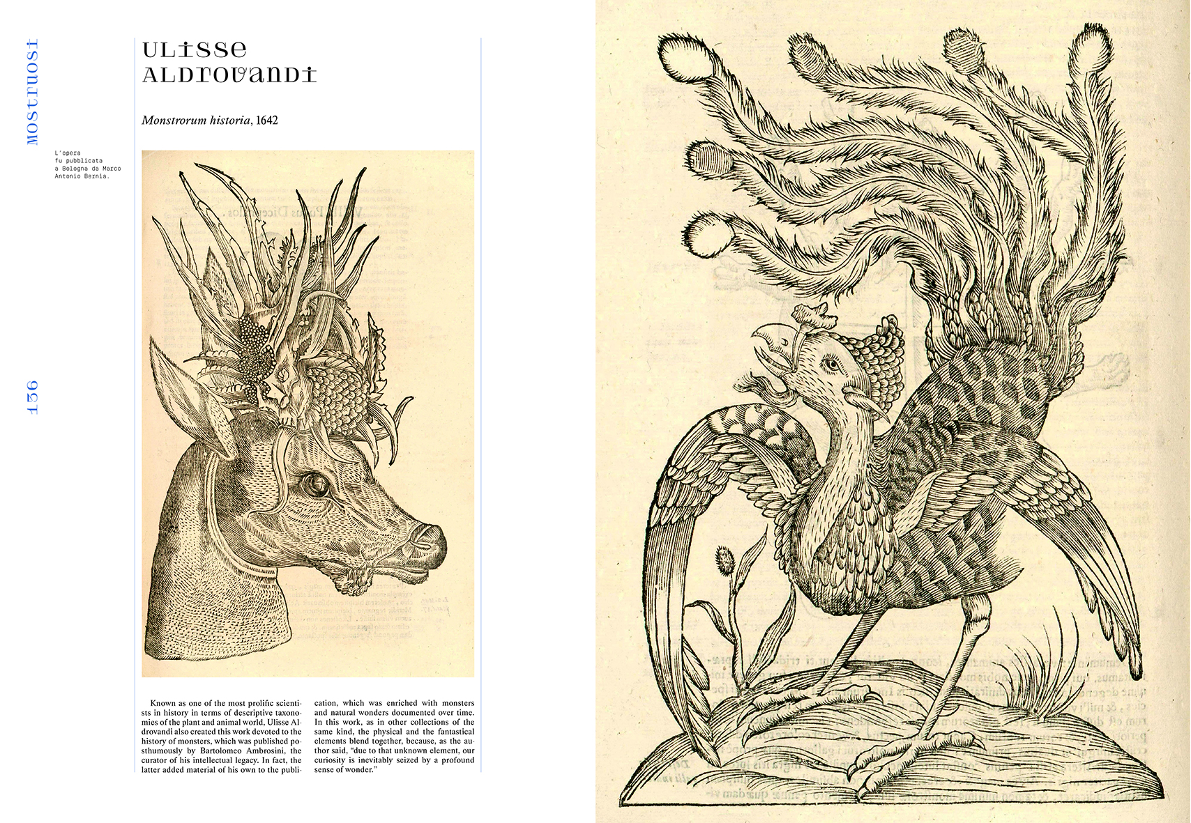A Bestiary of Fantastic, monstrous and allegorical animals