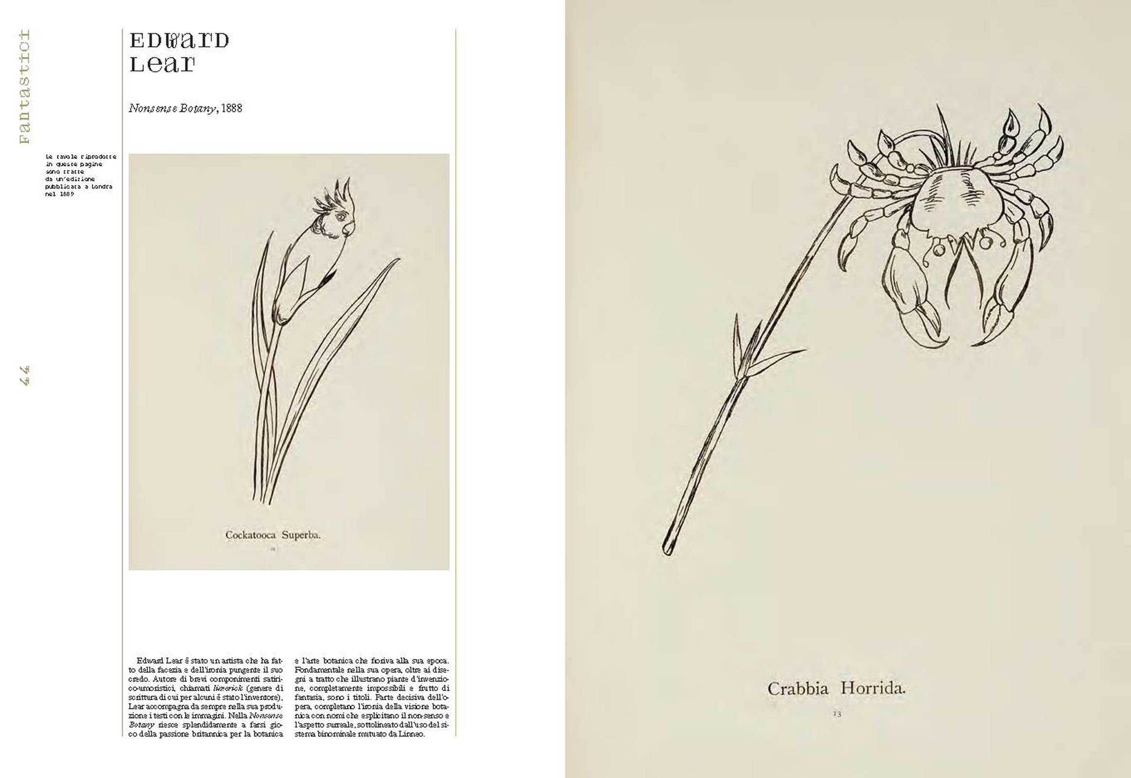 A Herbaria of Plants, Floras and Botanical Treasures