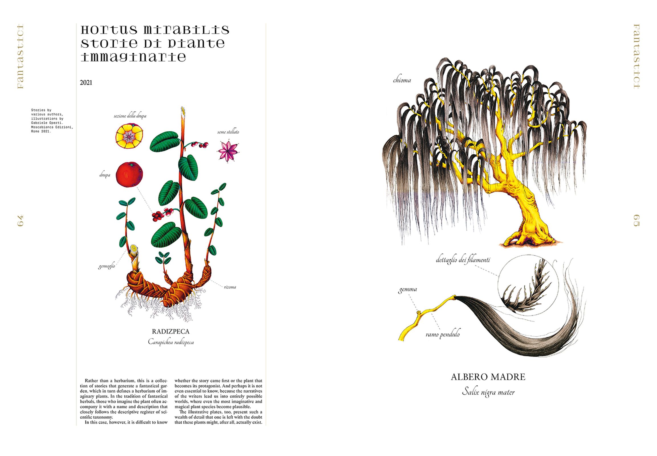 A Herbaria of Plants, Floras and Botanical Treasures
