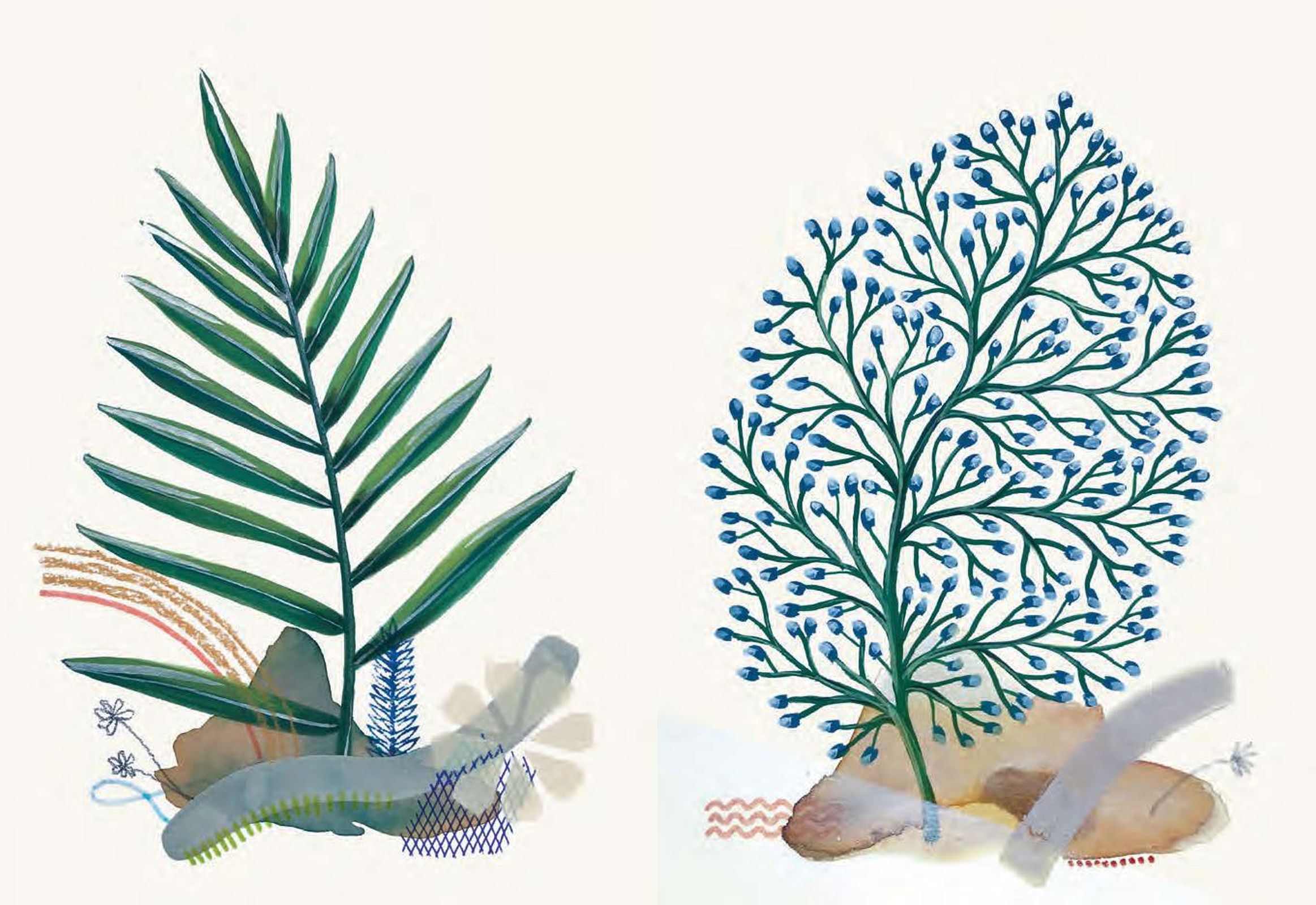 A Herbaria of Plants, Floras and Botanical Treasures