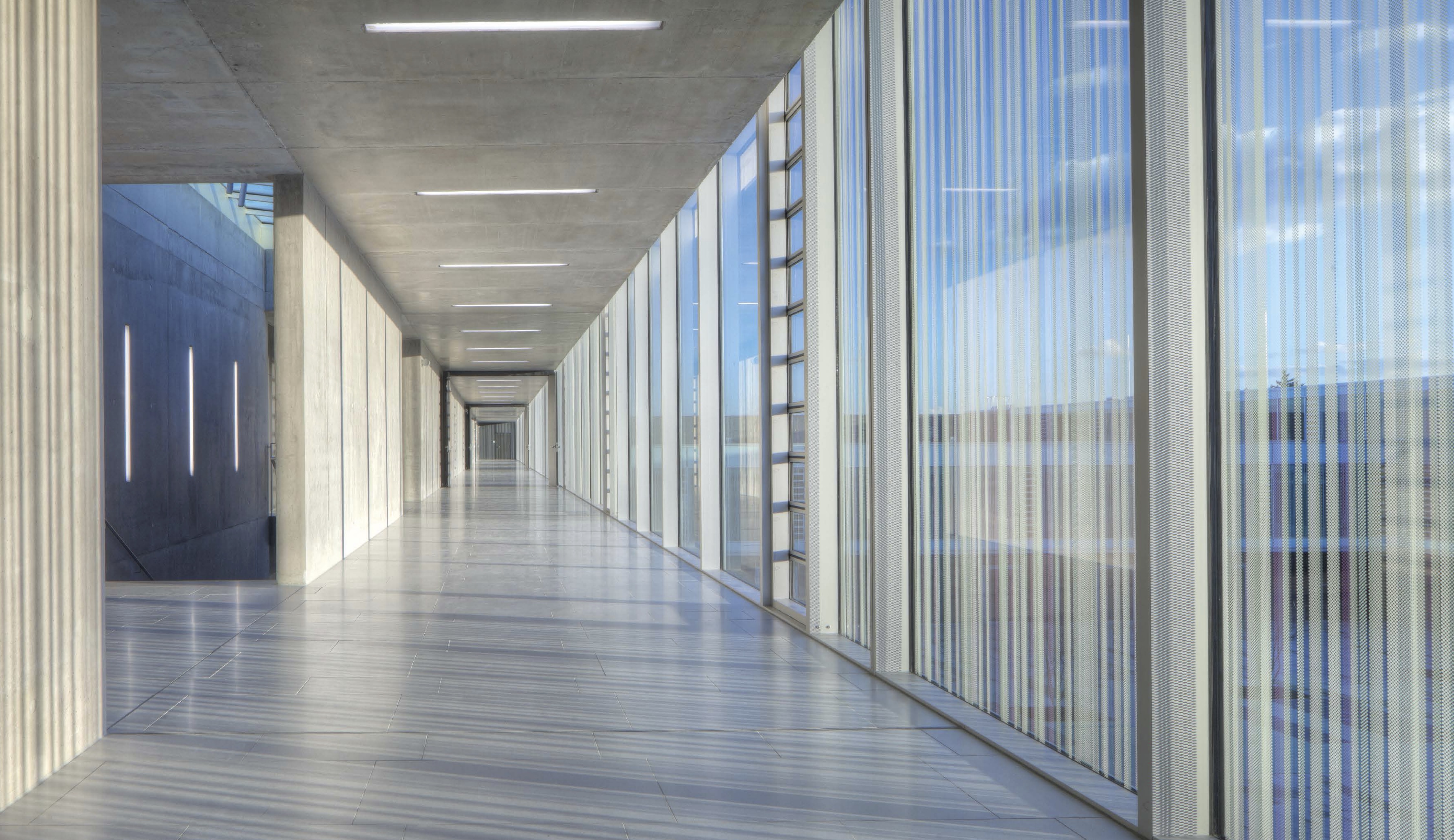Light + Architecture