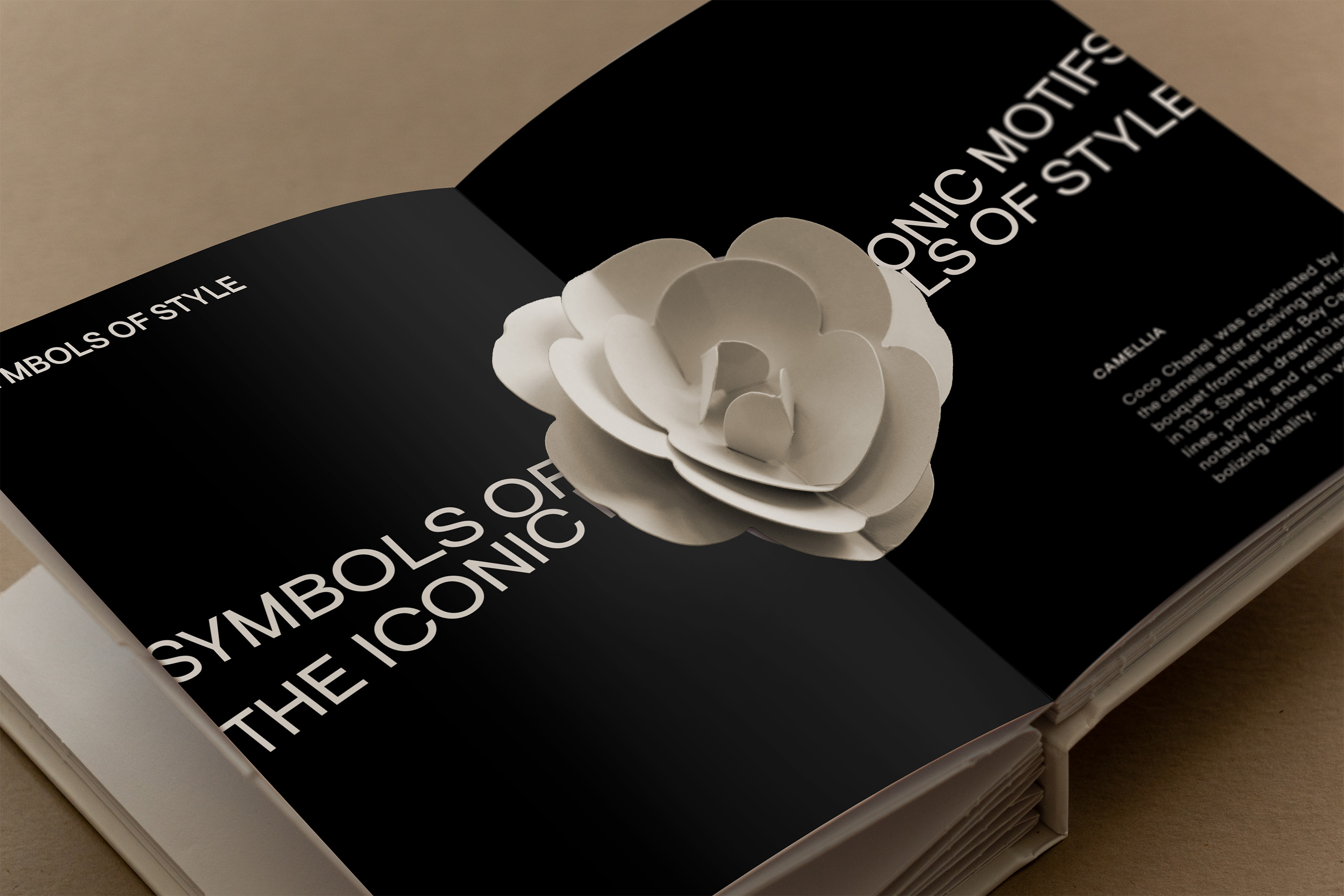 Pop-Up Chanel