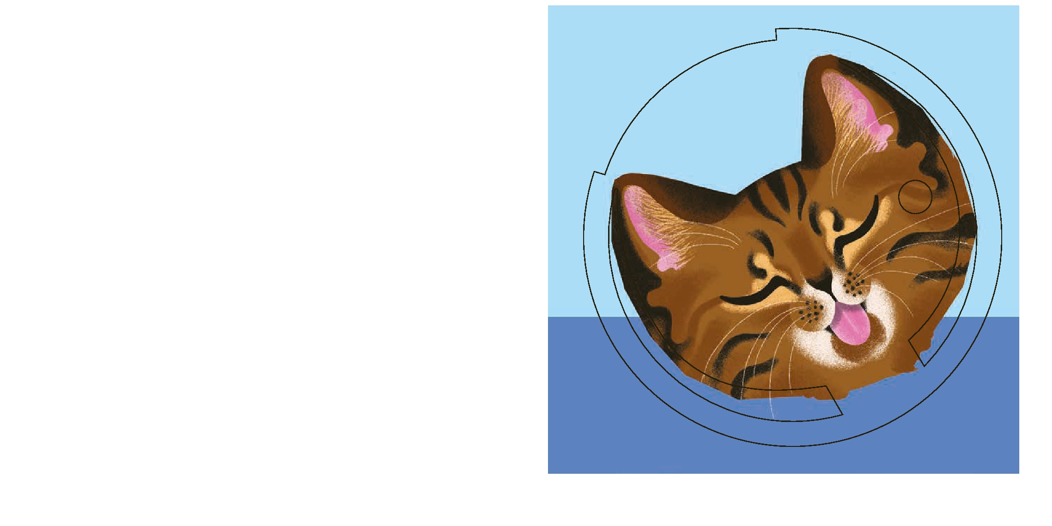 Ultimate Discovery: Cat