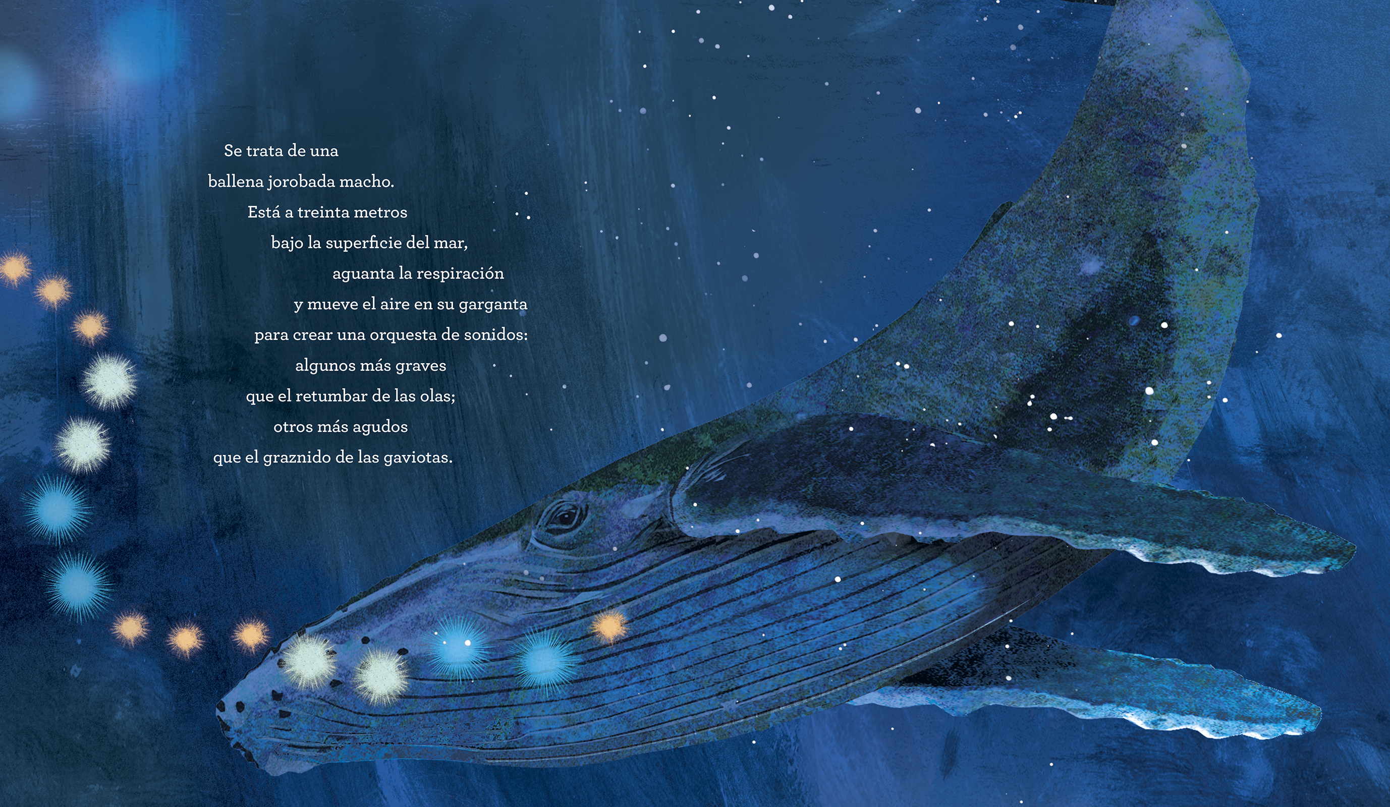 El canto de las ballenas