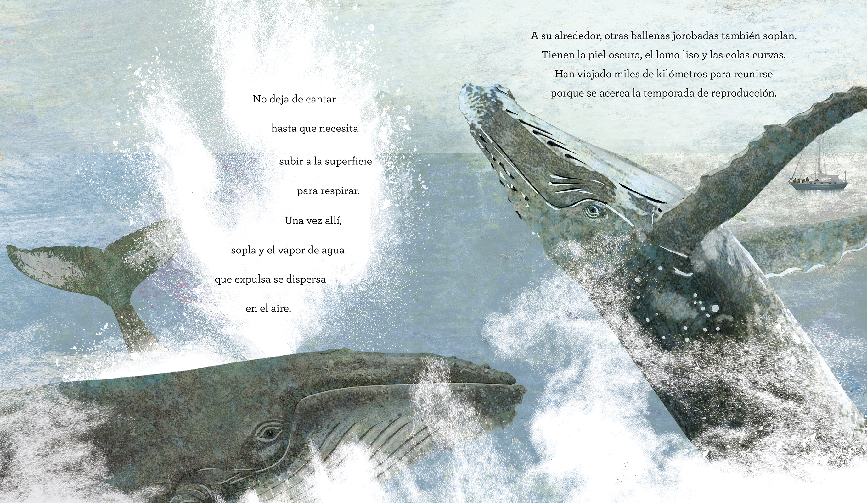 El canto de las ballenas
