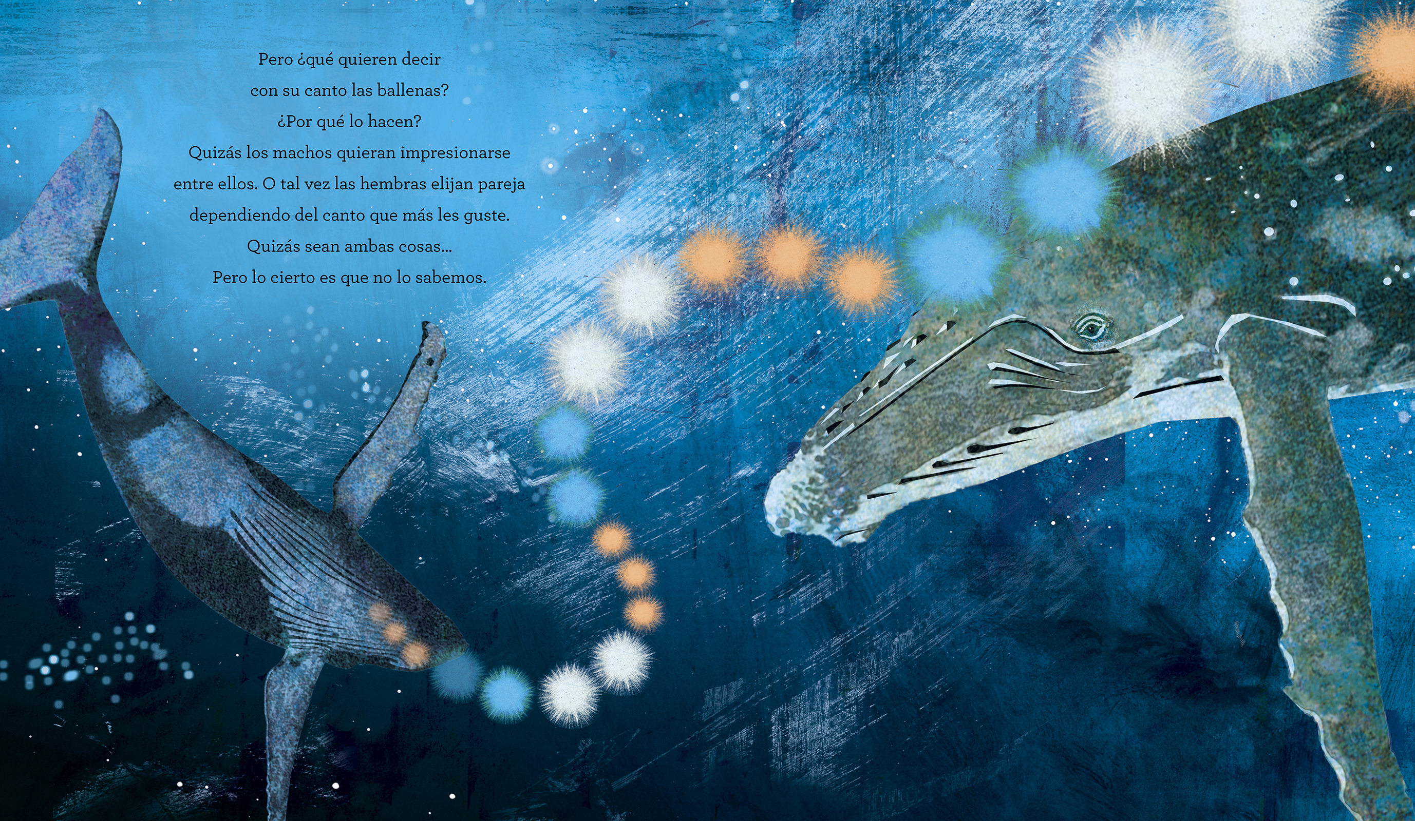 El canto de las ballenas