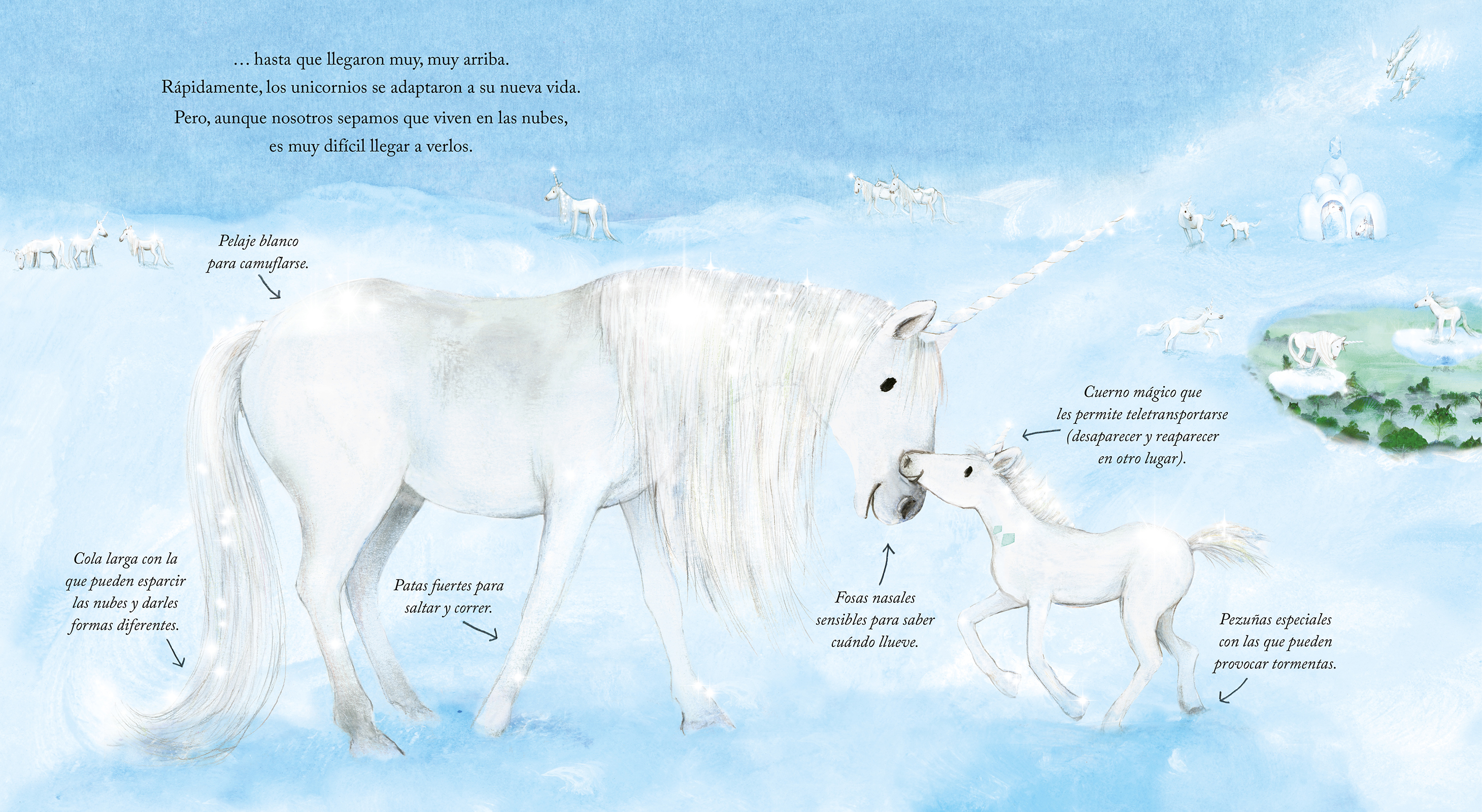 El libro secreto de los unicornios