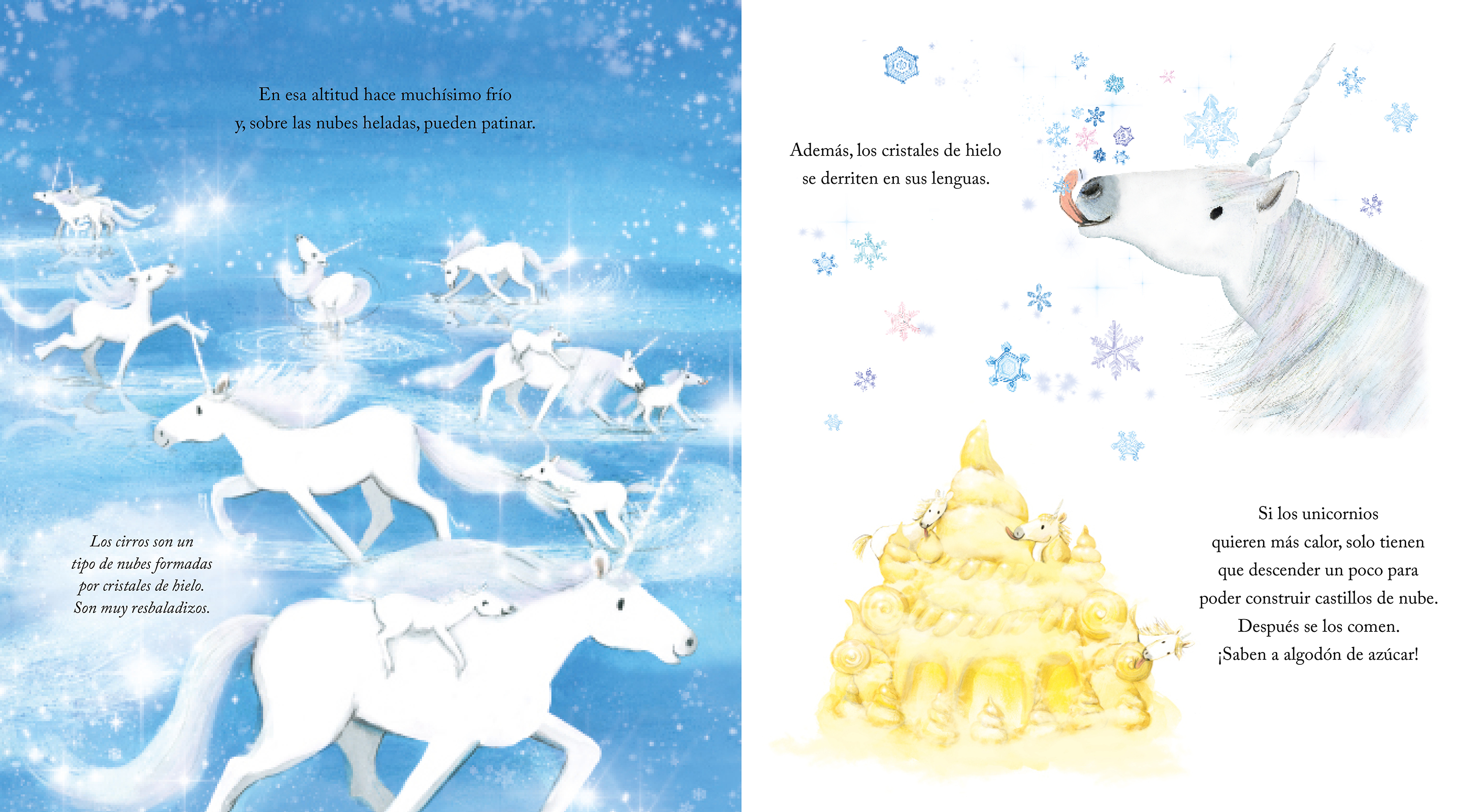 El libro secreto de los unicornios