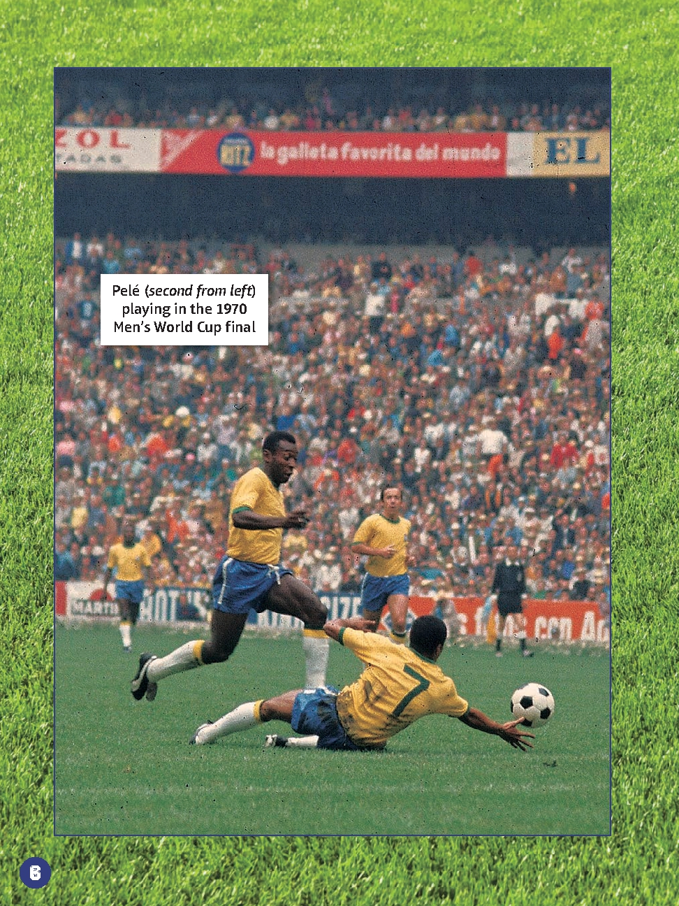 Brazil National Soccer Teams