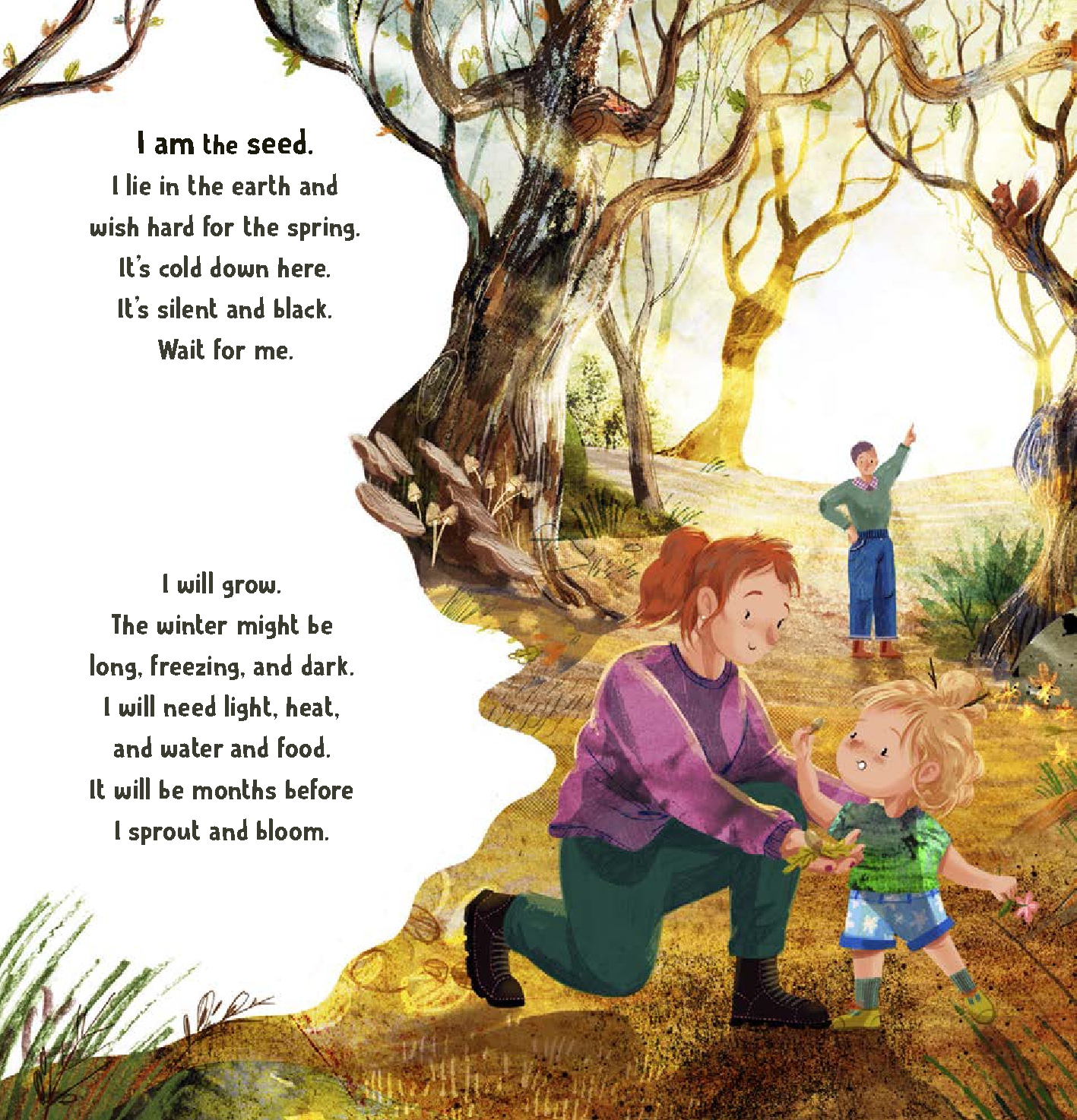 Shine Like the Stars