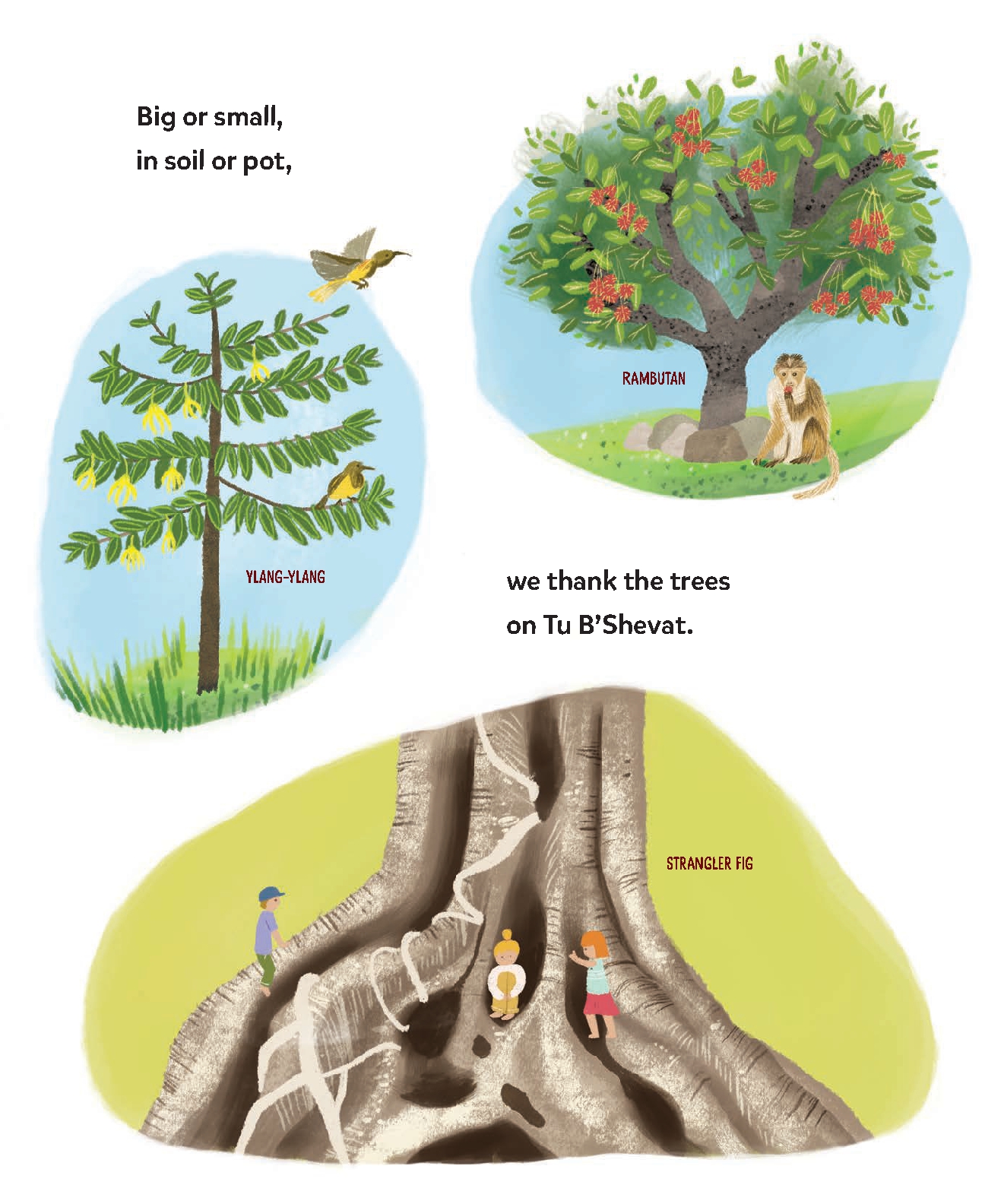 We Thank Our Trees