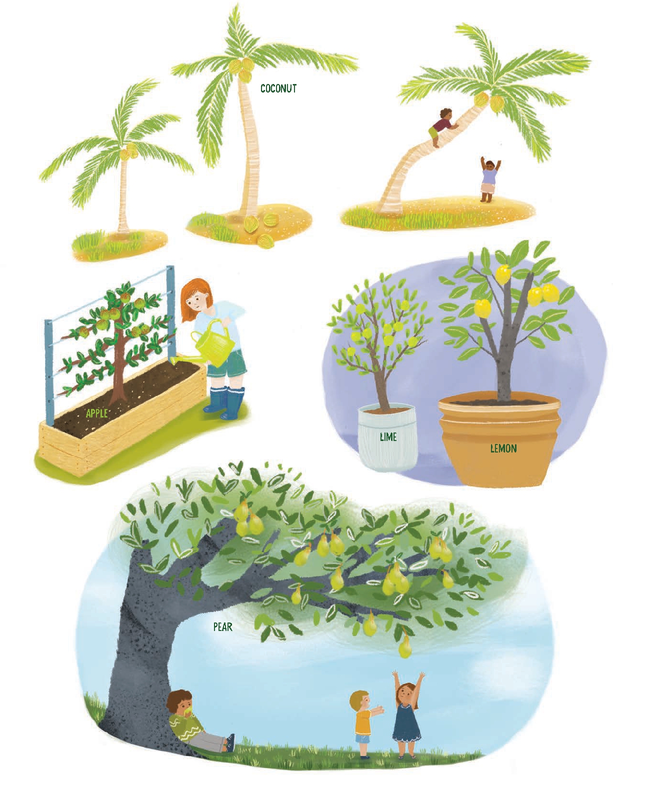 We Thank Our Trees