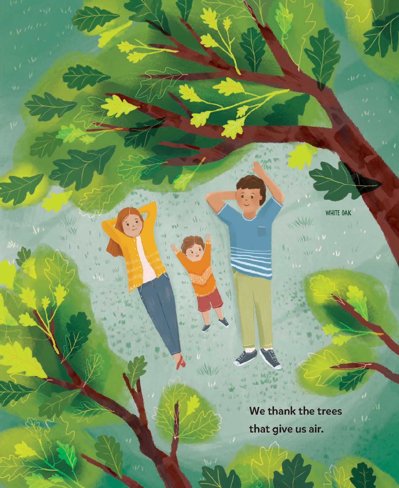 We Thank Our Trees