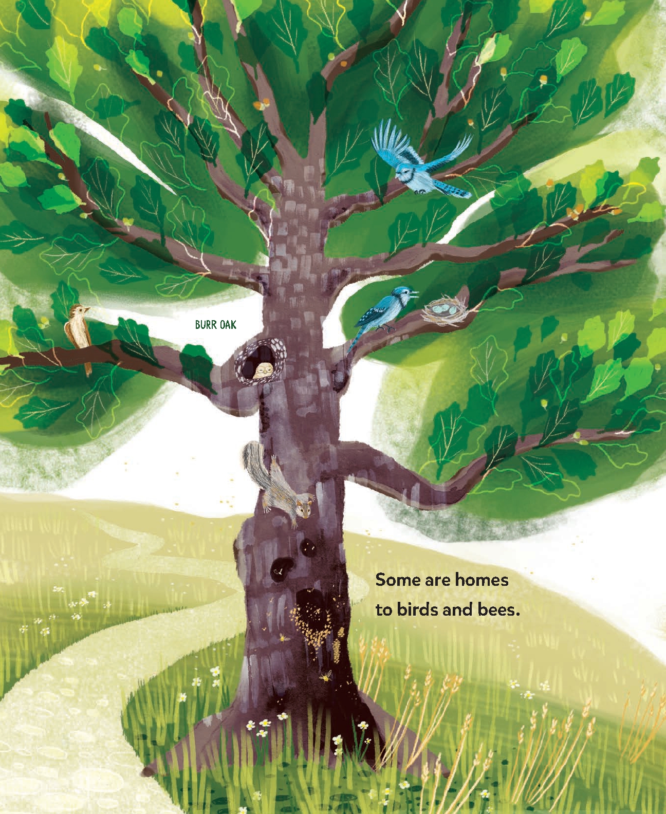 We Thank Our Trees