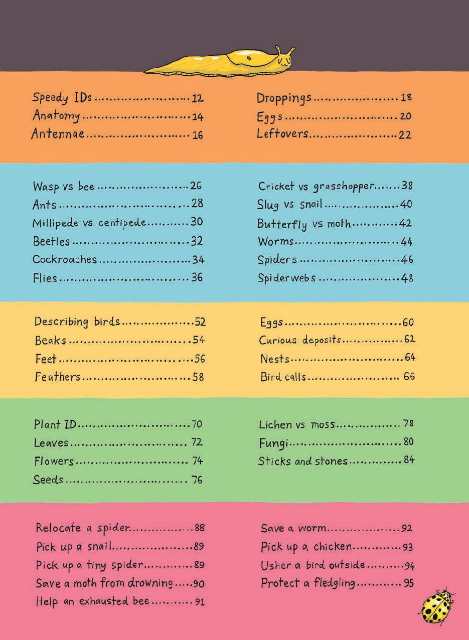 Pocket Observology