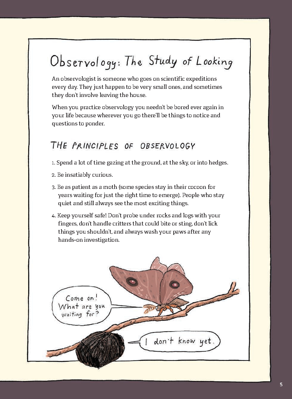 Pocket Observology