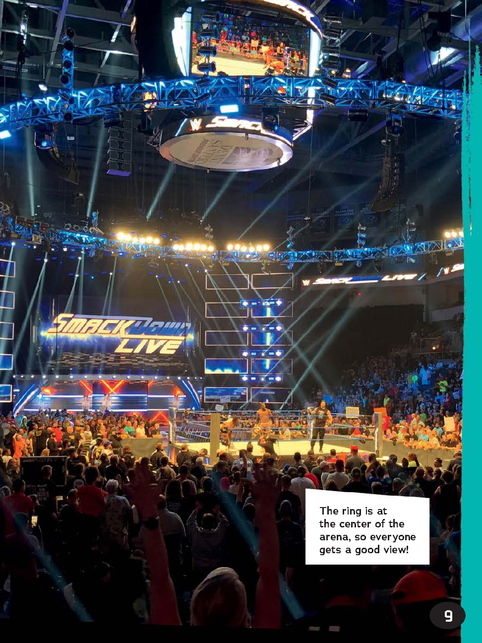 The Best Pro Wrestling Rivalries
