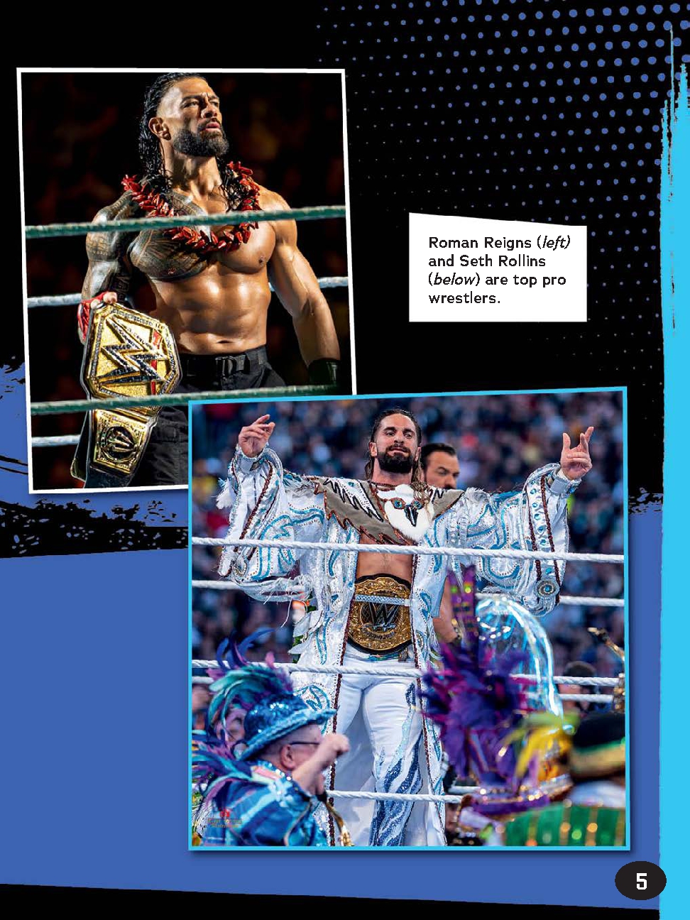 The Best Pro Wrestling Stars