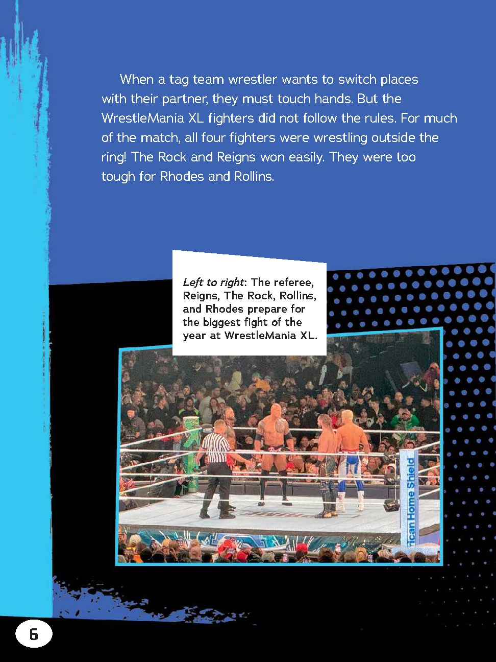 The Best Pro Wrestling Stars