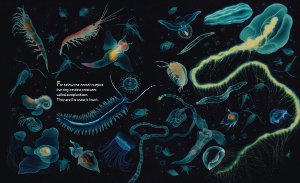 The Ocean's Heart