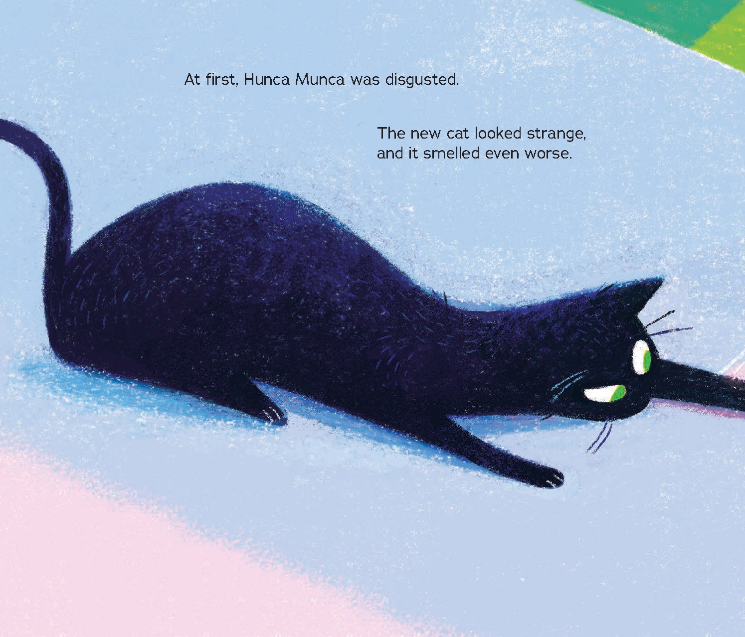 The New Cat